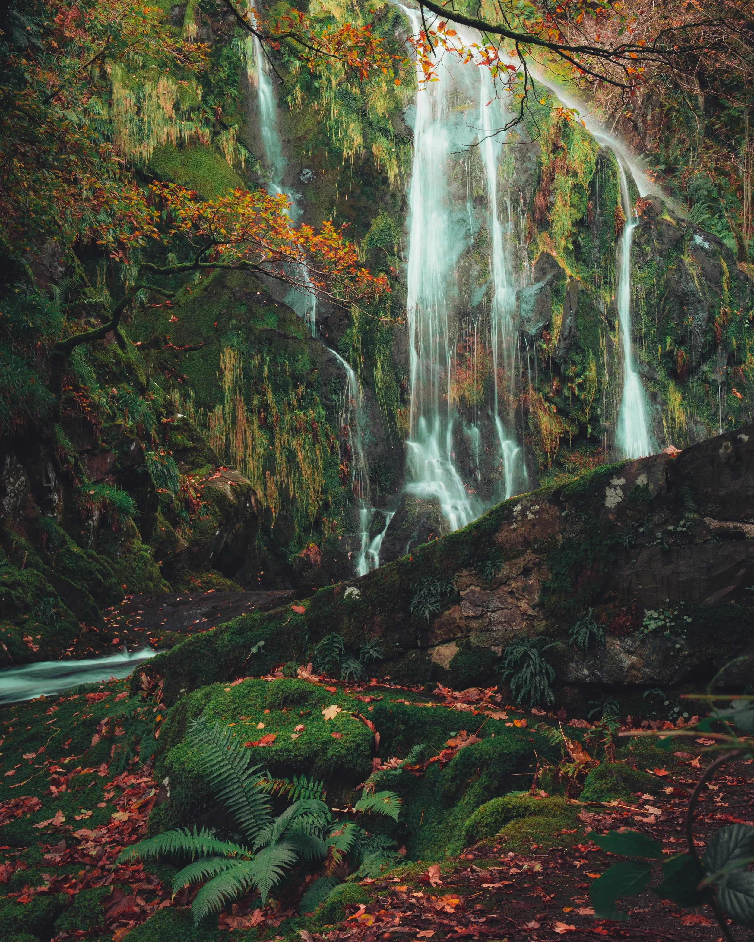 DSC_6321.jpg