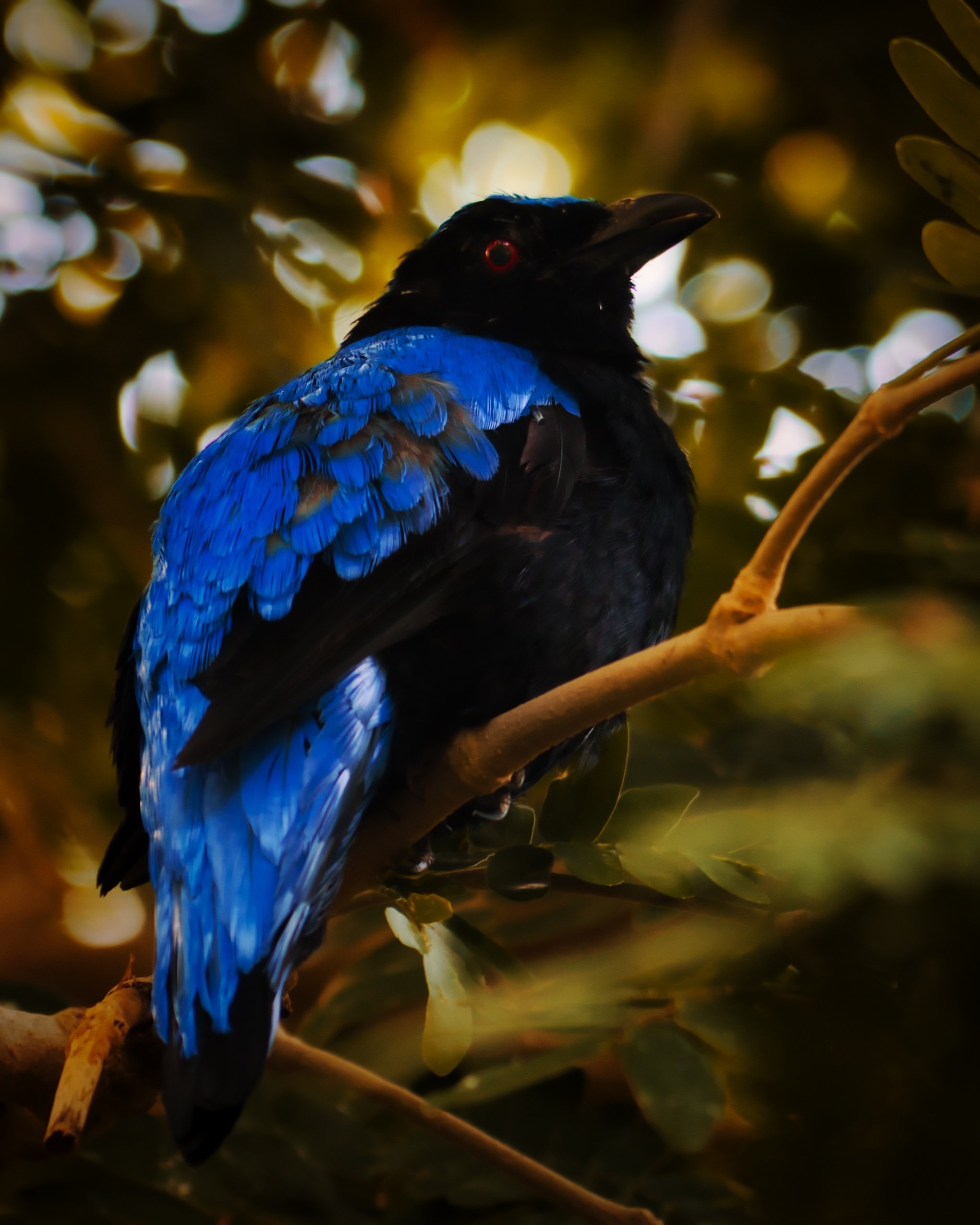 DSC_2753.jpeg