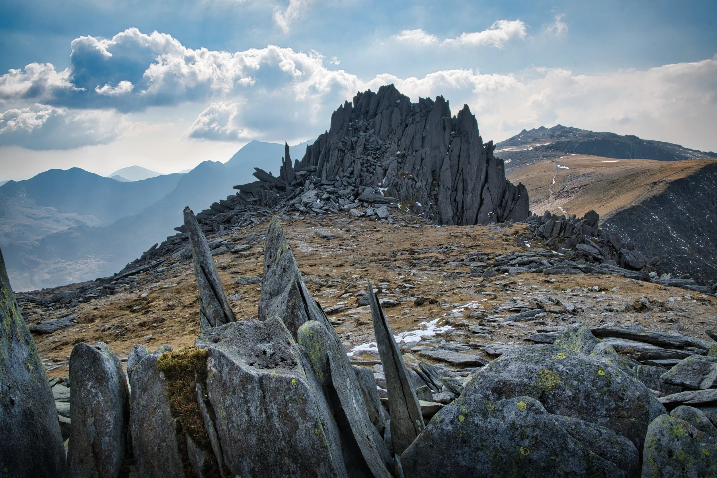 DSC_1819v2.jpg