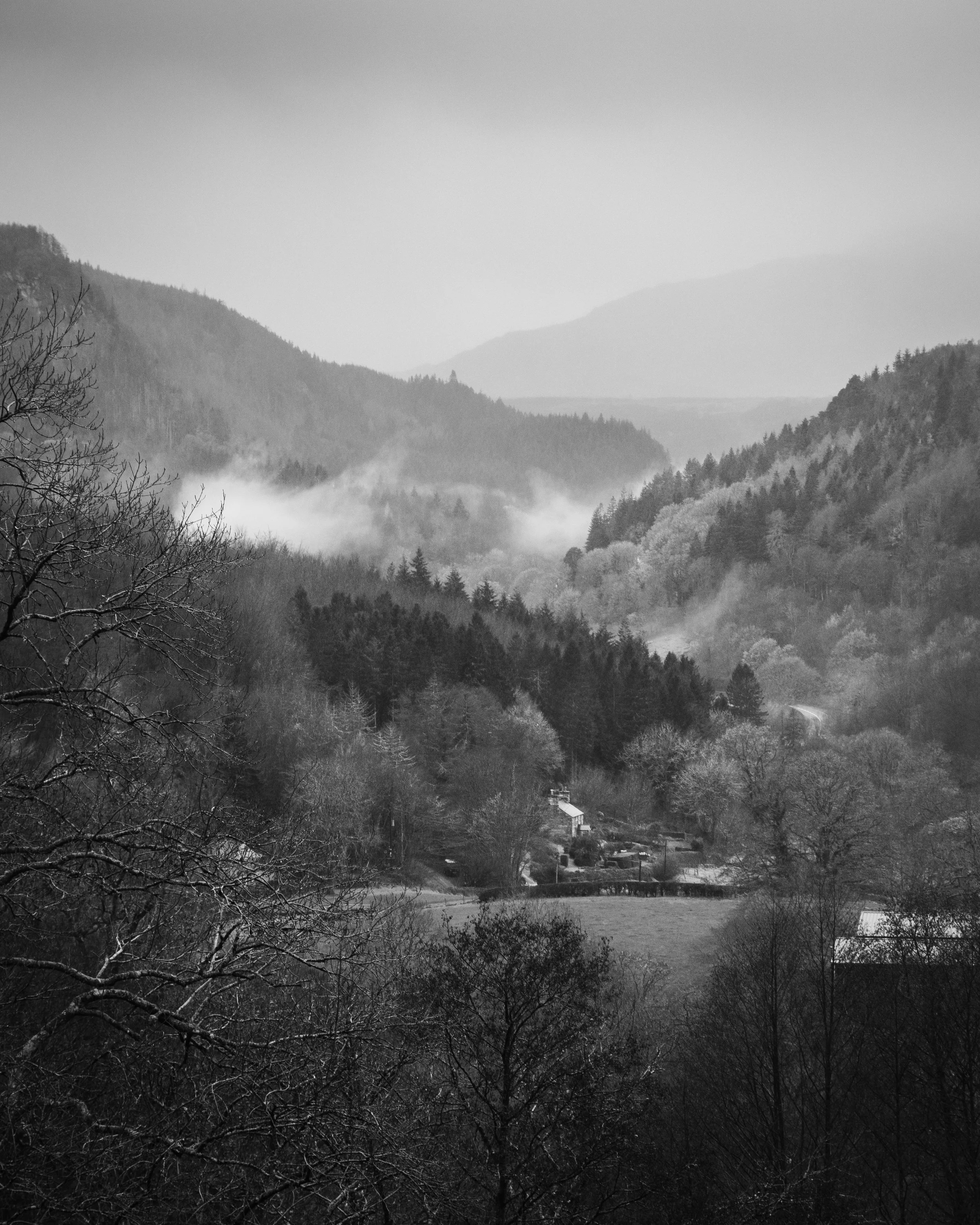 DSC_1132.jpg