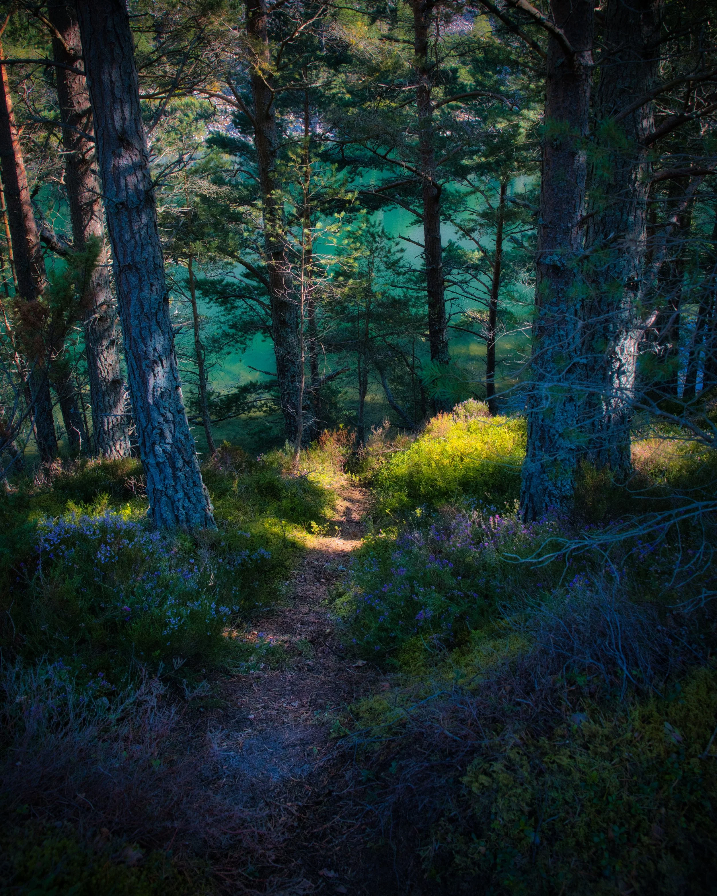 DSC_3395.jpeg