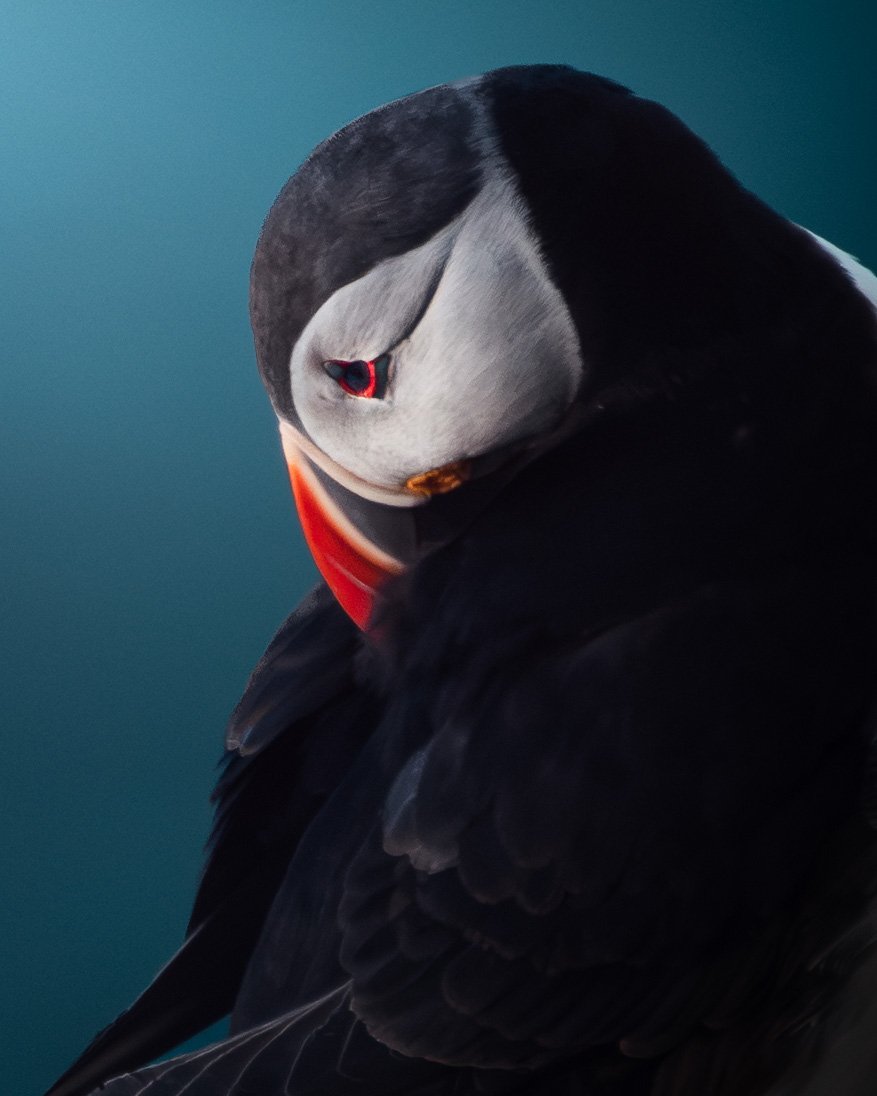 DSC_4914.jpg