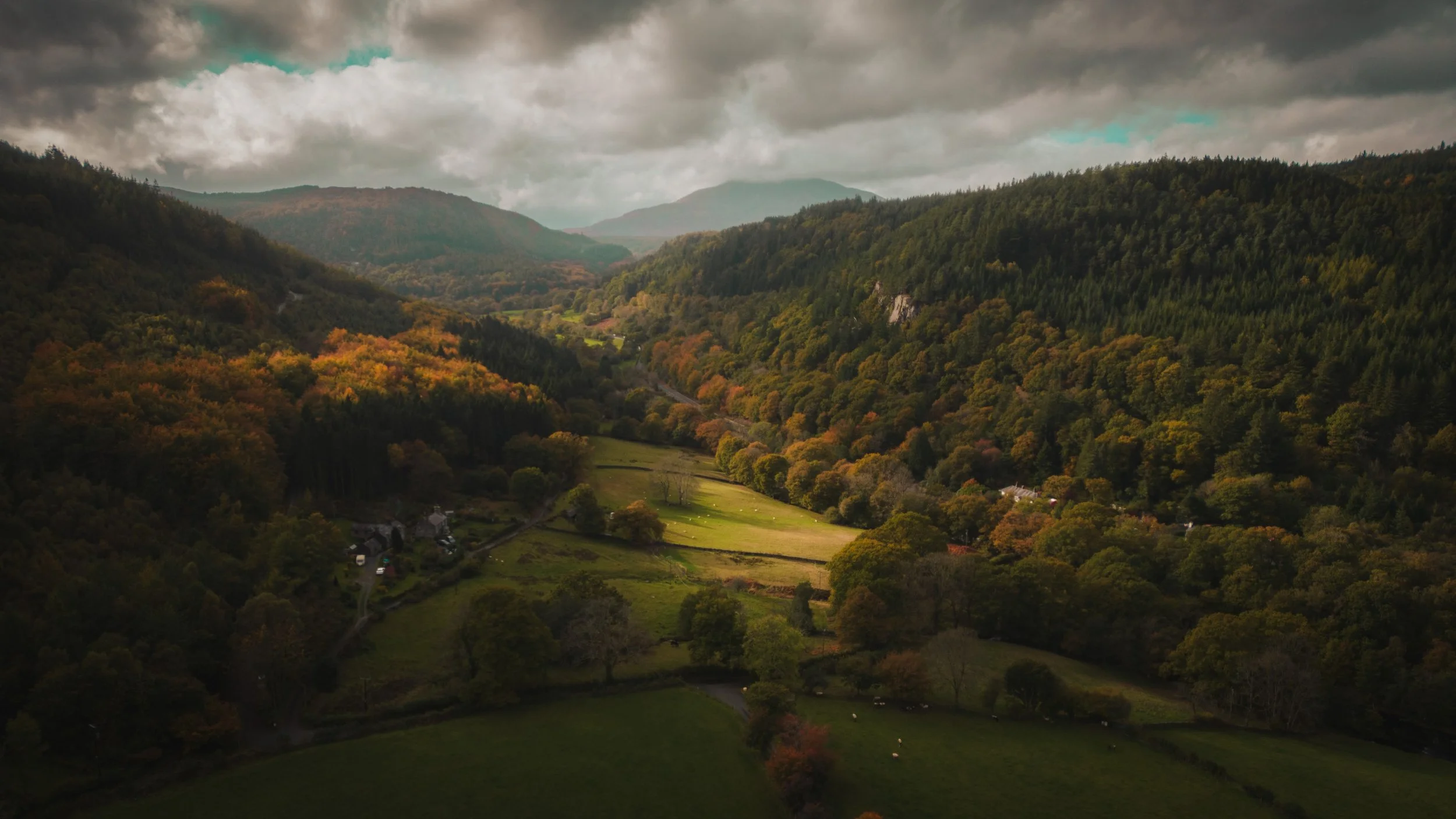 DJI_0145.jpg