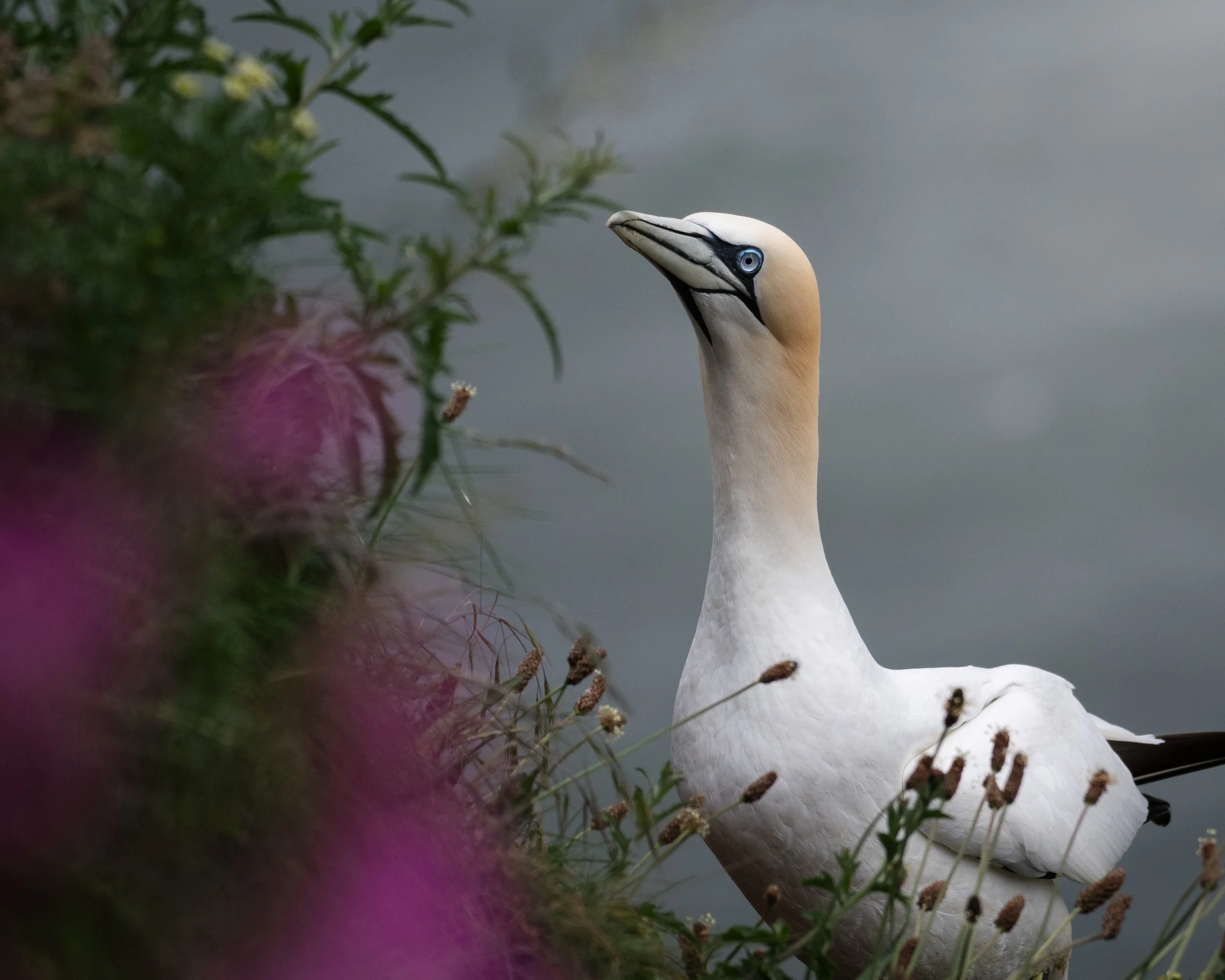 DSC_5606.jpg