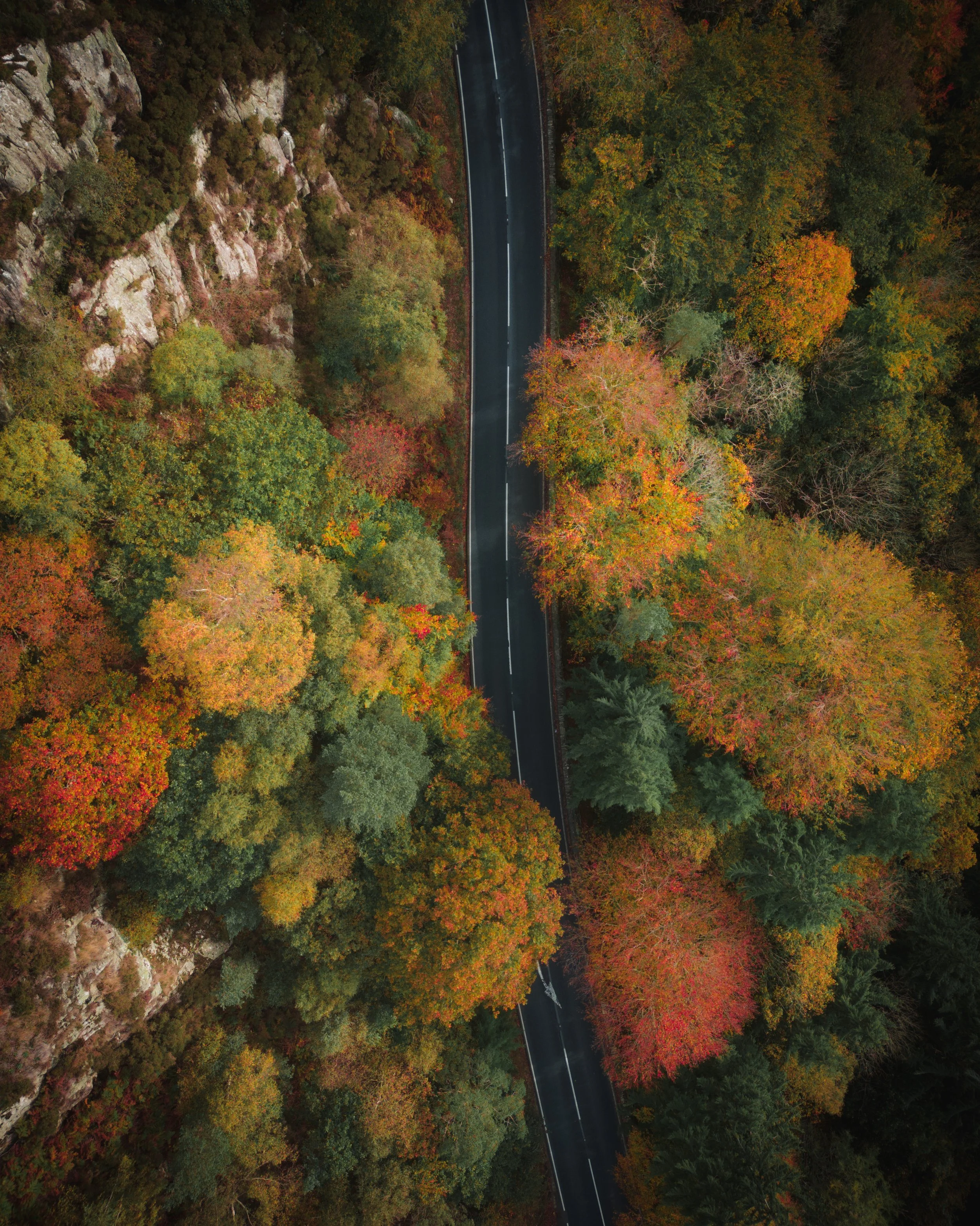DJI_0160.jpg