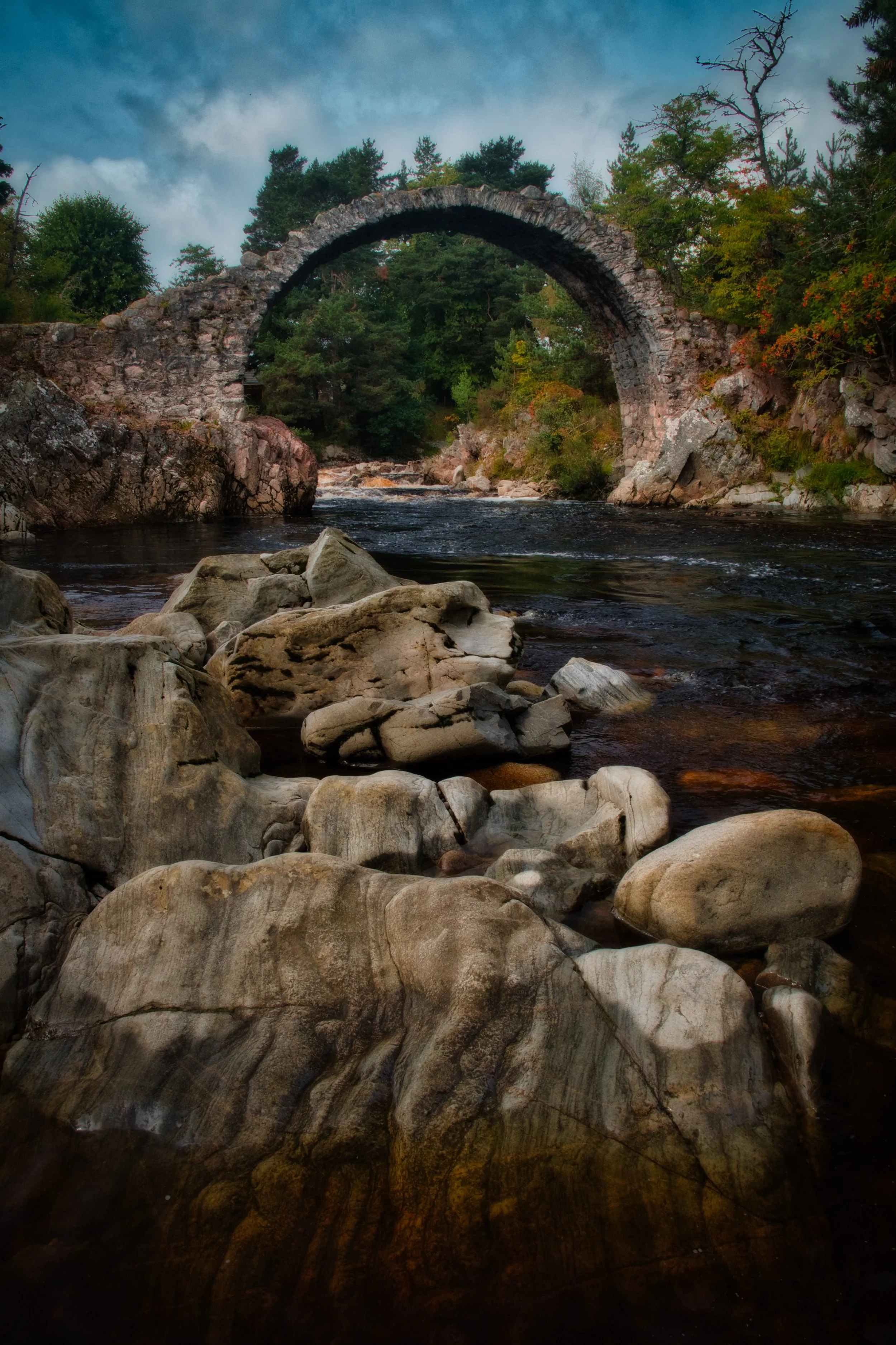 DSC_3311.JPEG