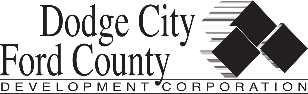 DCFC Black Logo.png