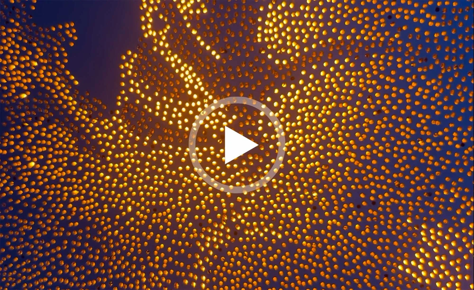 Video of Medusa displayed at sunset by the ocean, revealing the illuminated Photonic Pointillism effect in a natural environment.