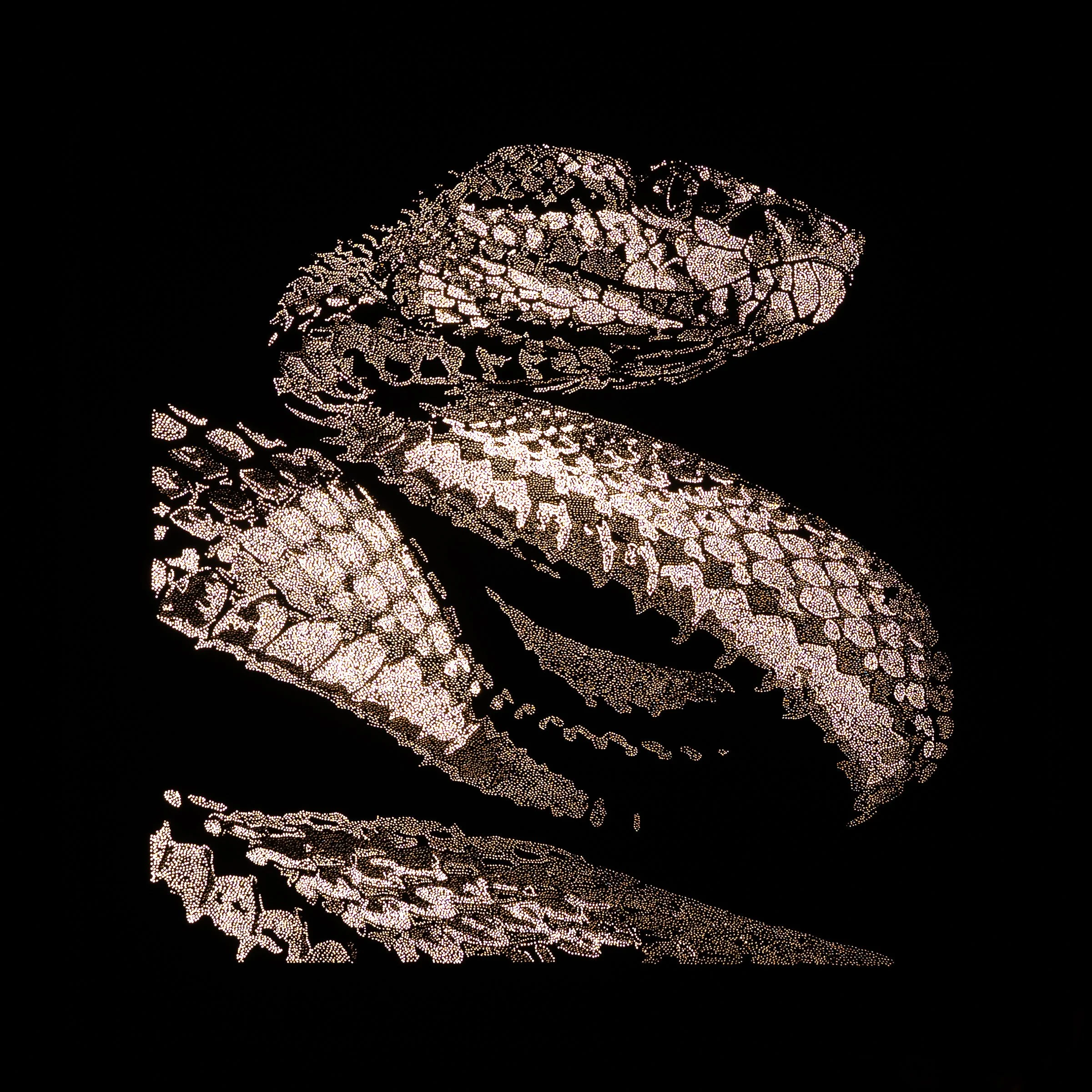 De Repente, Serpiente, a Photonic Pointillism Lightwork by contemporary artist Patrick Hüttlinger inspired by the flowing movement and organic geometry of a serpent.
