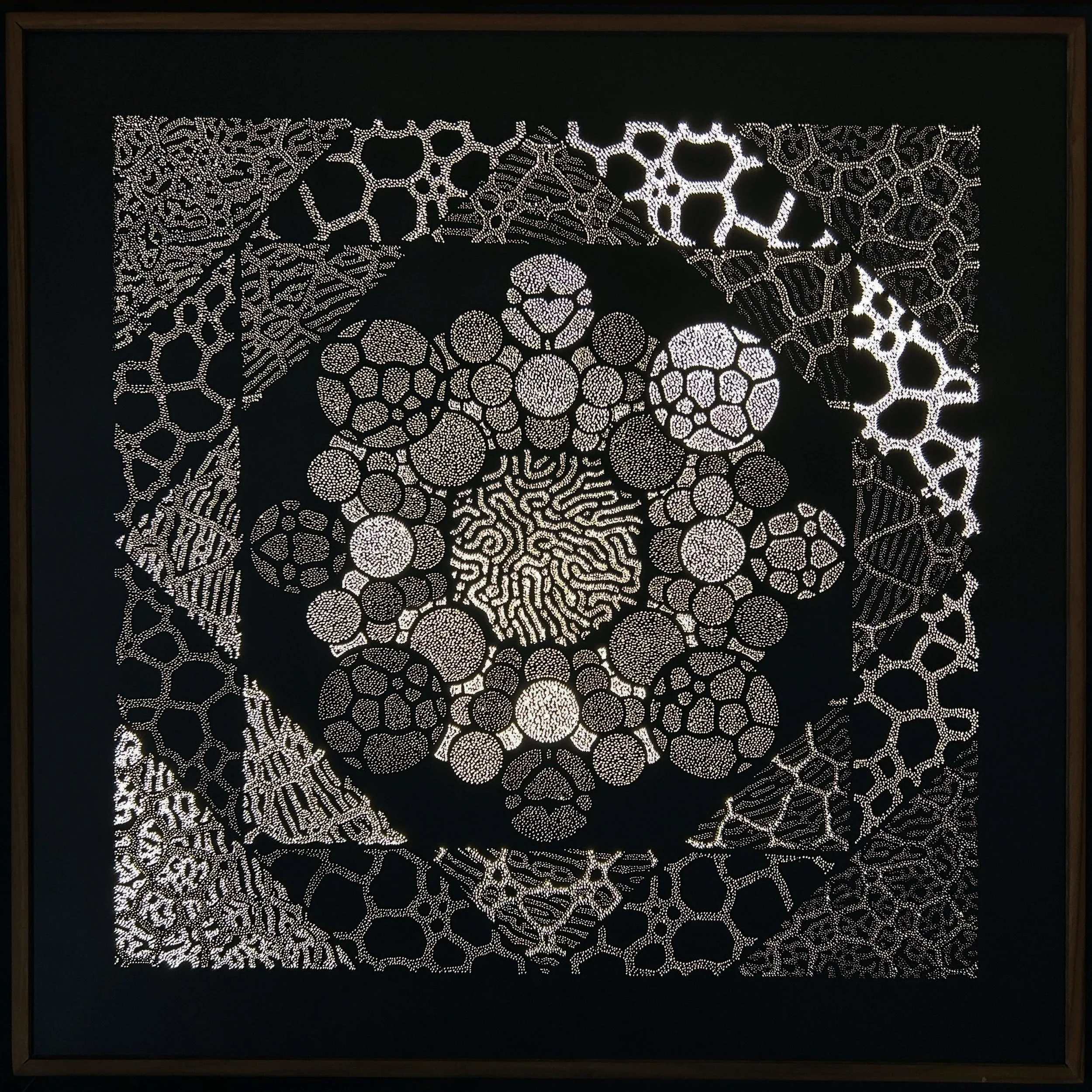 Forma Naturalis, a Photonic Pointillism Lightwork by contemporary artist Patrick Hüttlinger inspired by the harmonious geometry and self-organizing patterns found in nature.