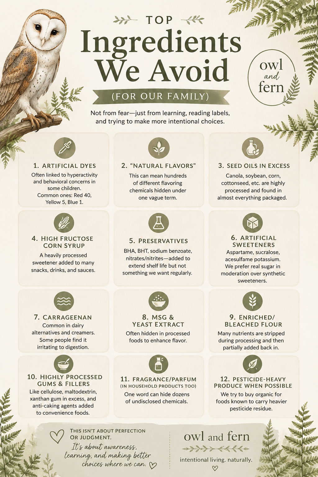 Why We Started Questioning Ingredients