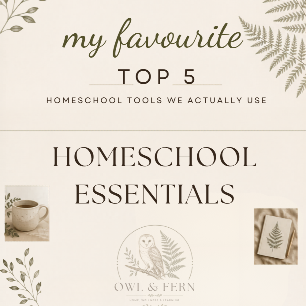 Homeschool Tools We Actually Use
