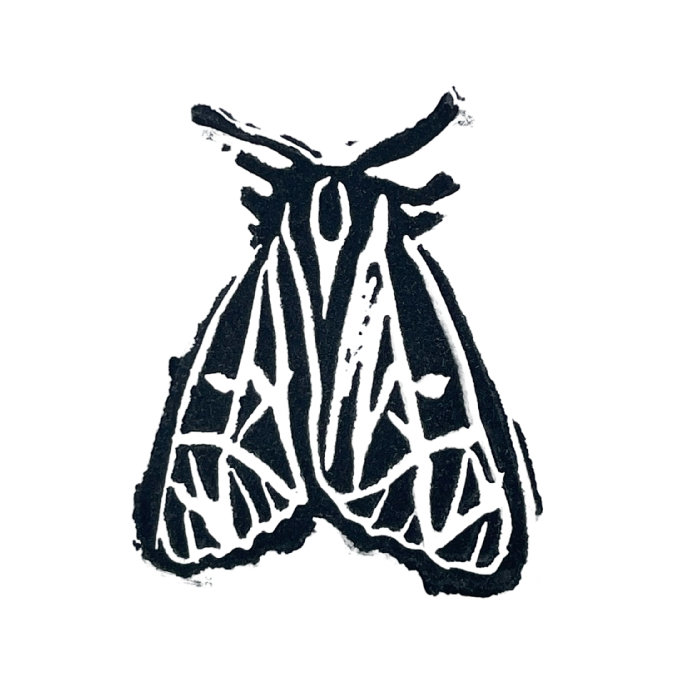 Tiger Moth