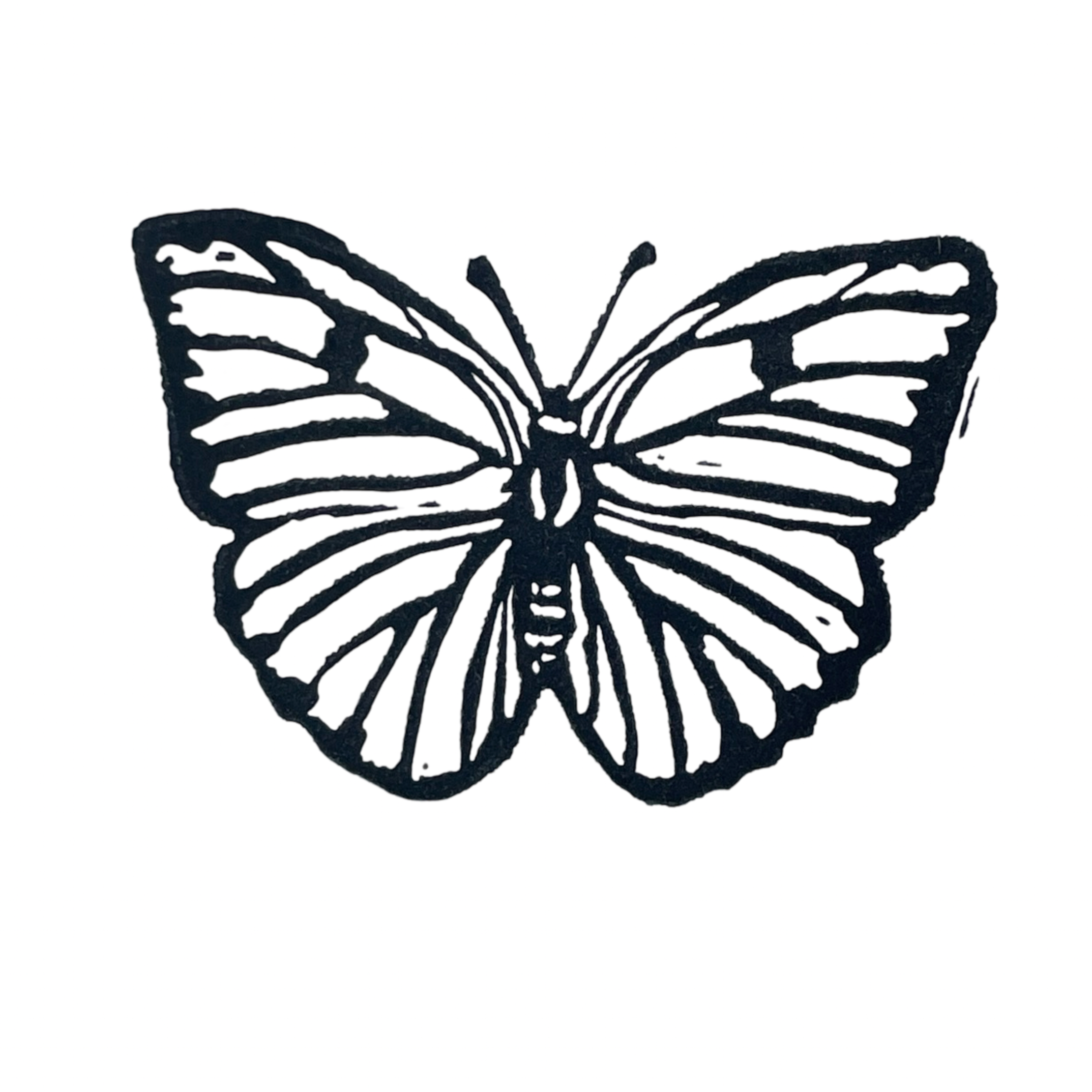Cloudless Sulfur Butterfly