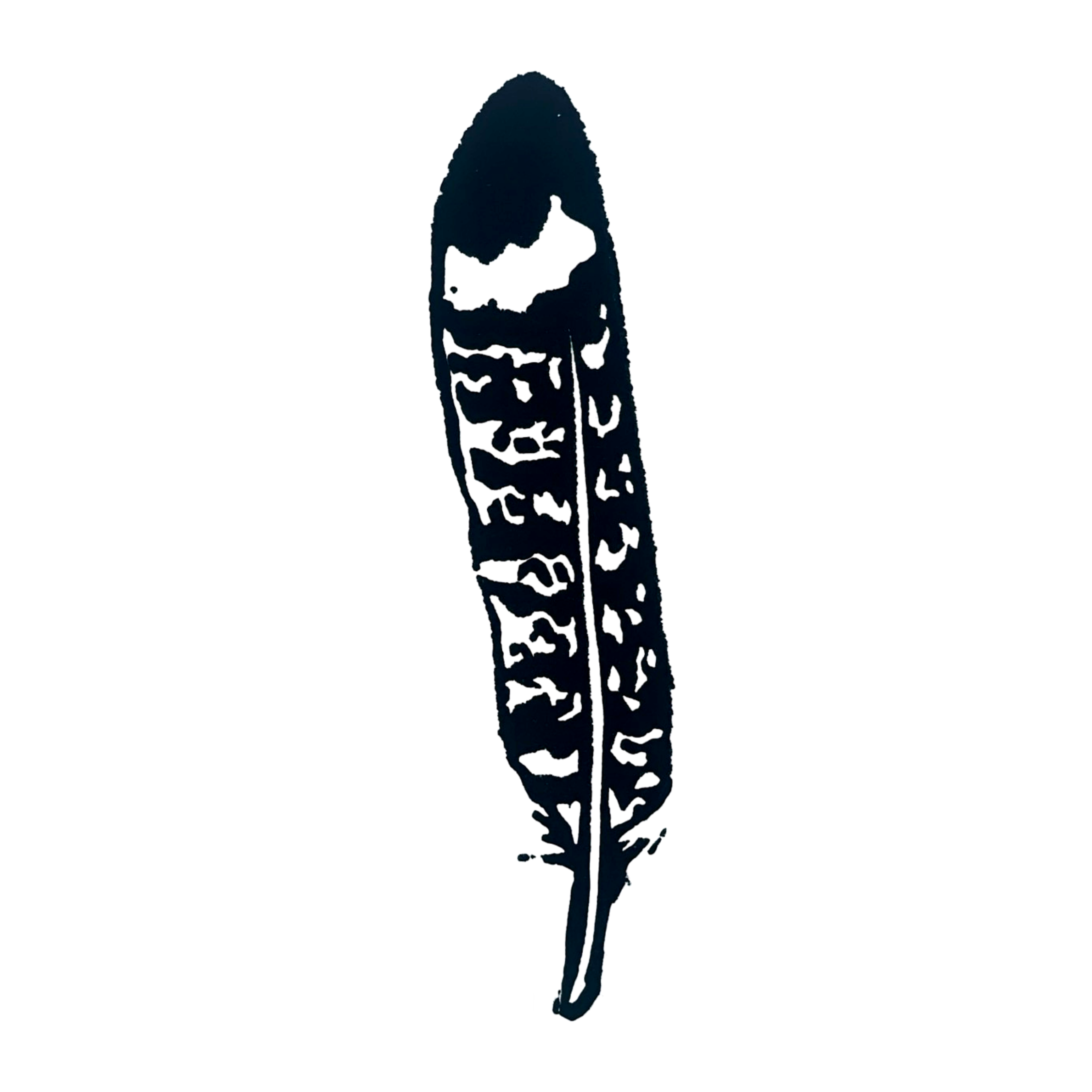 Common Nighthawk Feather