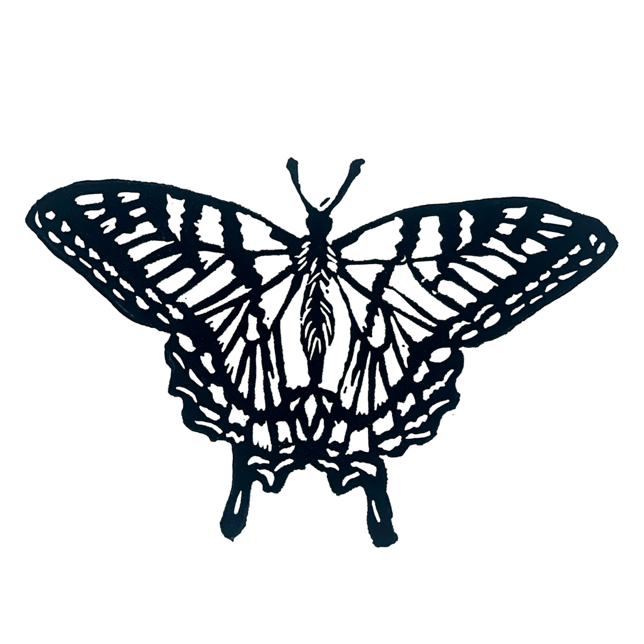 Eastern Tiger Swallowtail