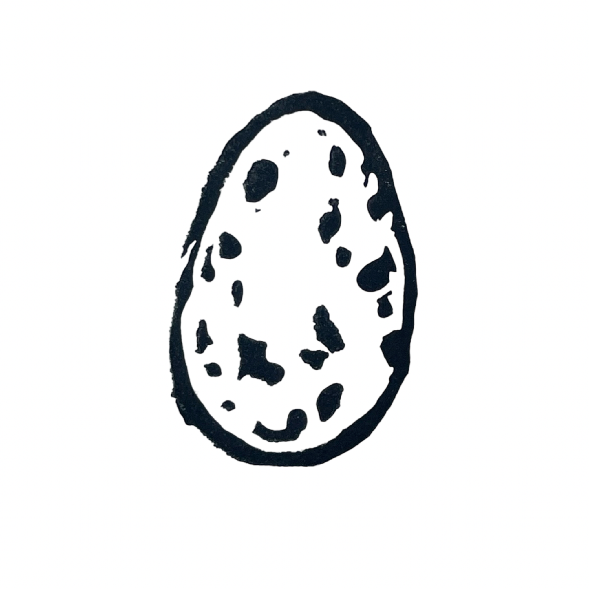 House Finch Egg