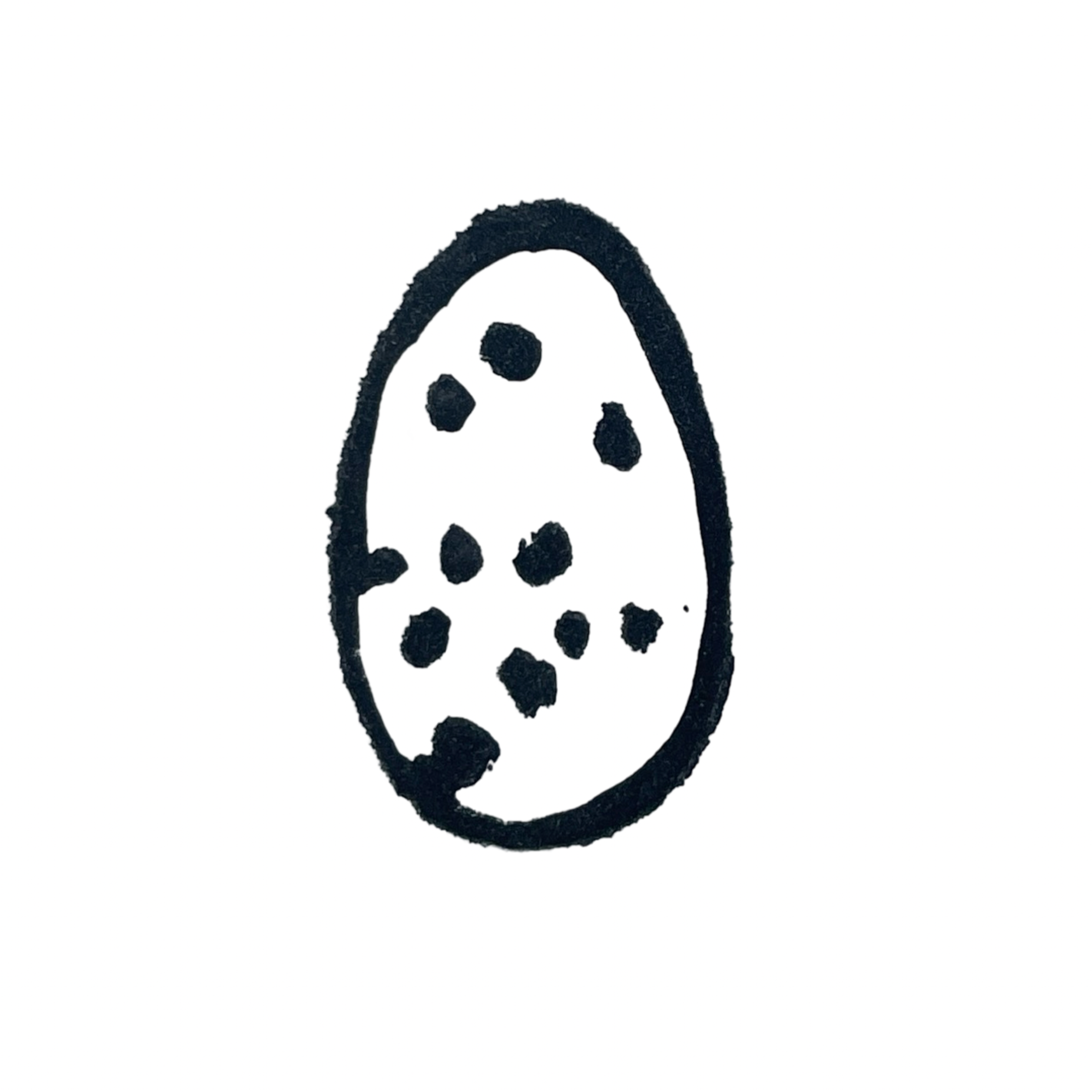 House Wren Egg