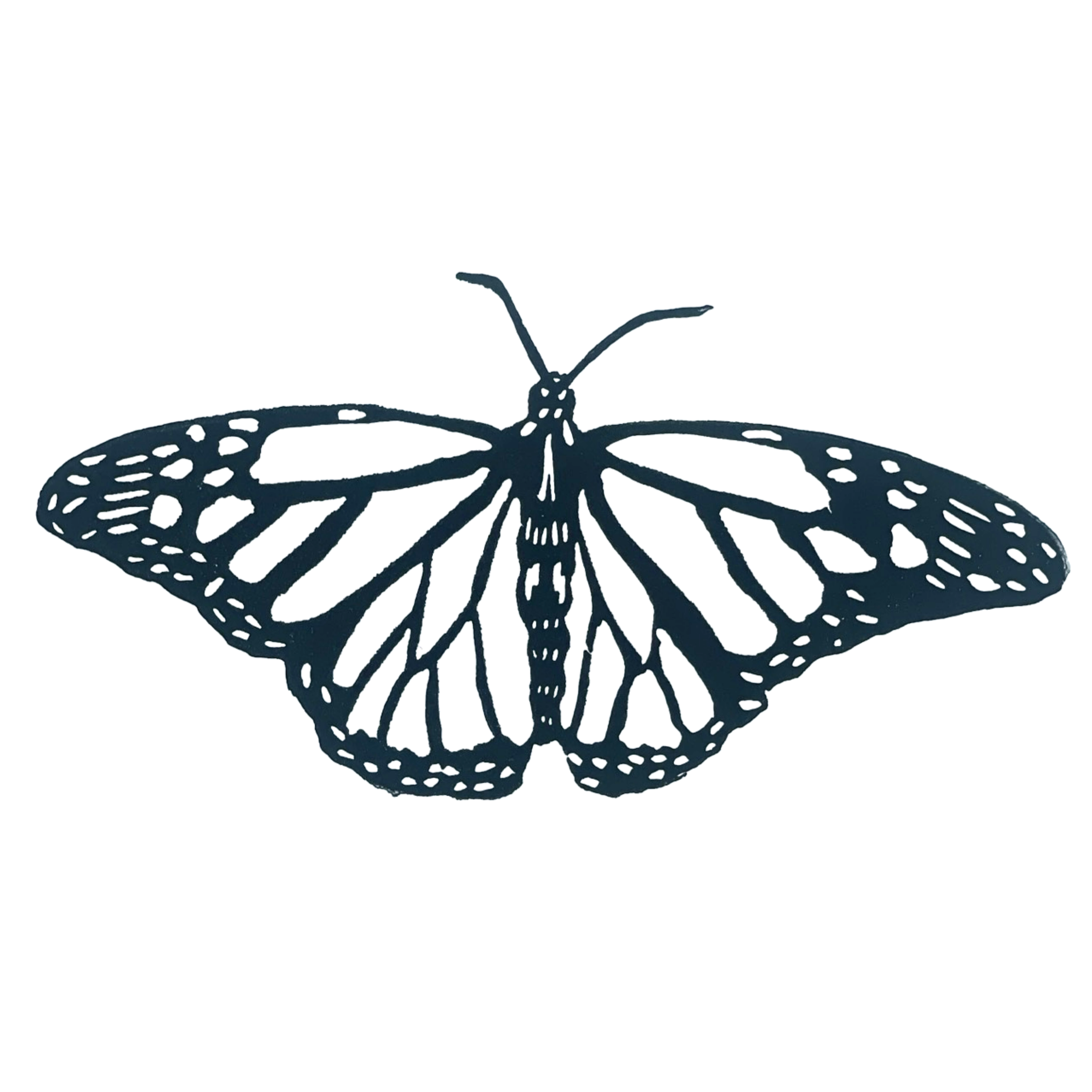Monarch Butterfly