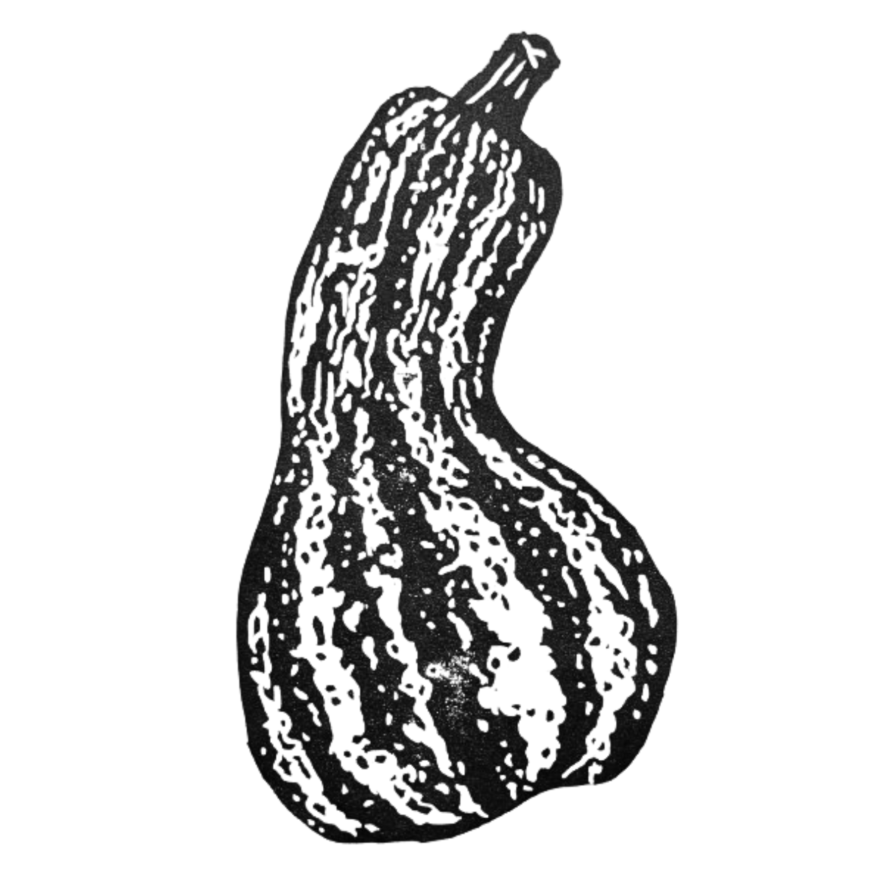 Caserta Summer Squash