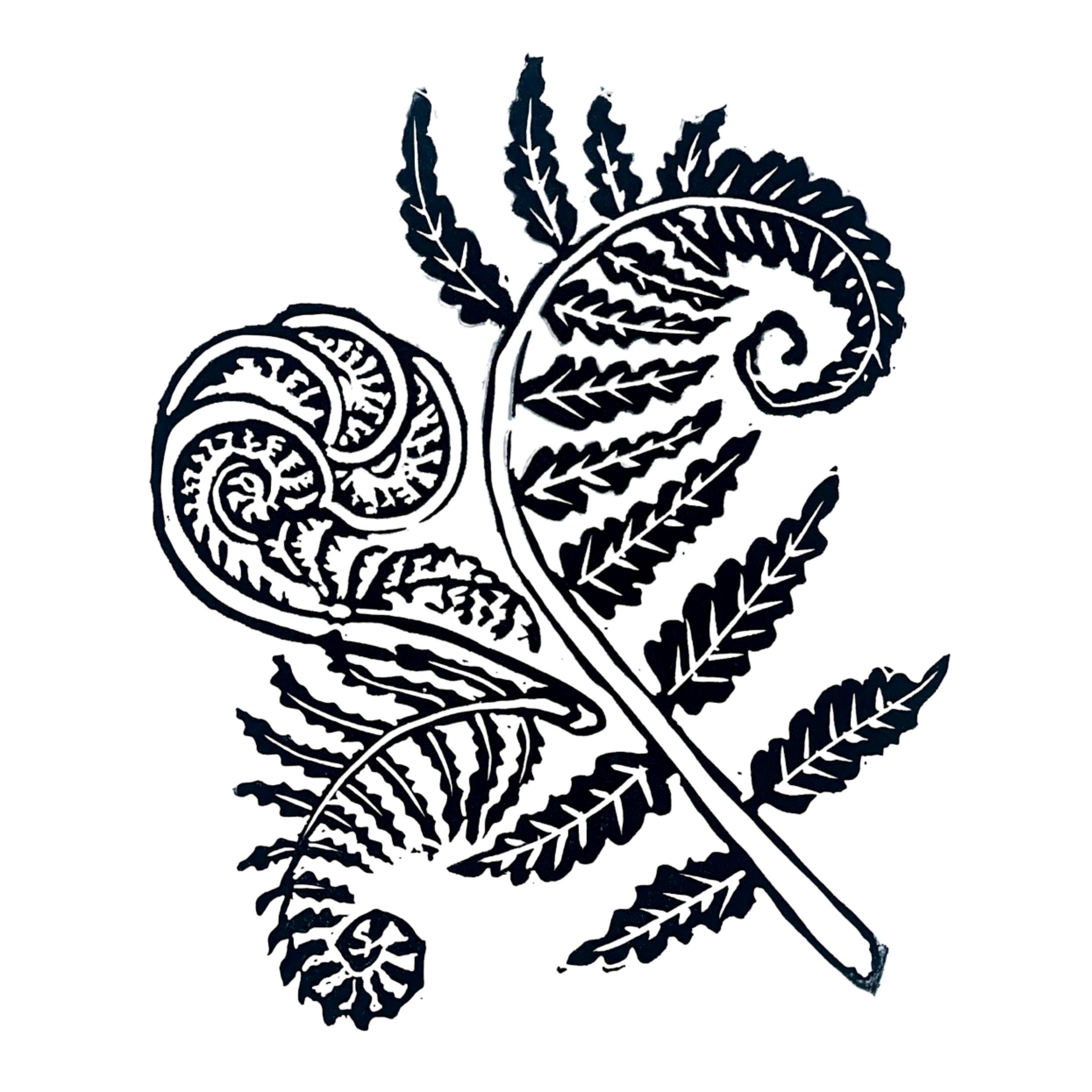 Wood Fern & Fiddle