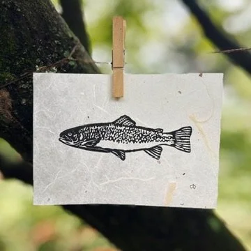 Brook Trout