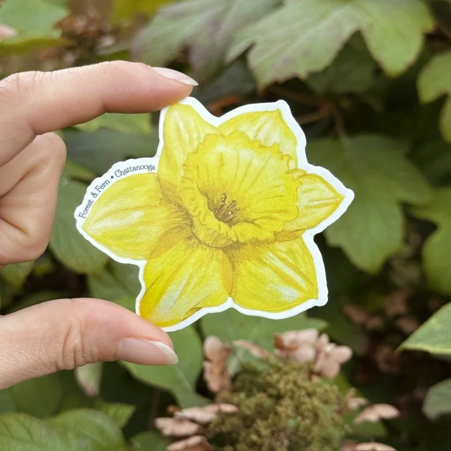 Daffodil Sticker