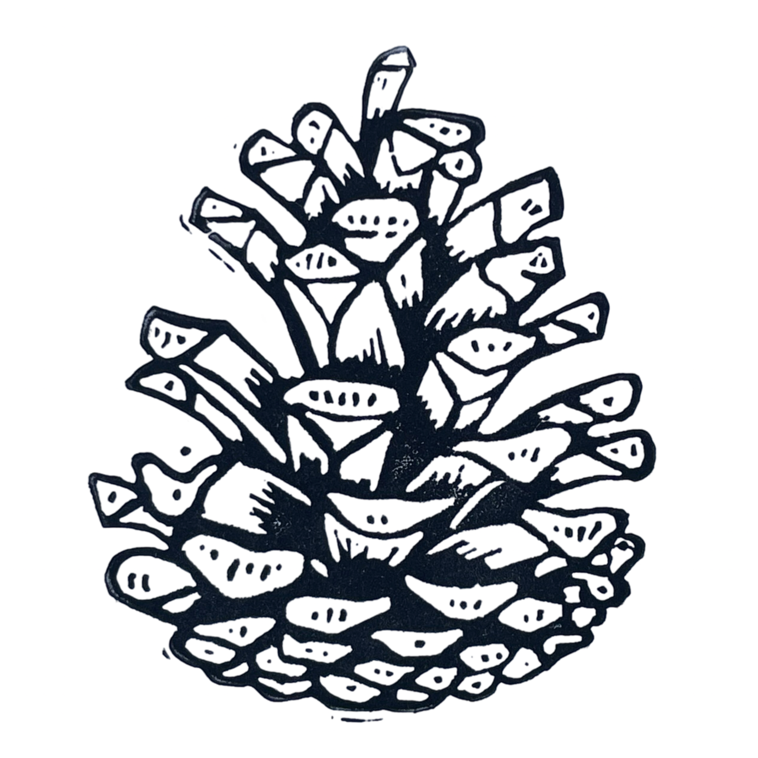 Shortleaf Pine Cone