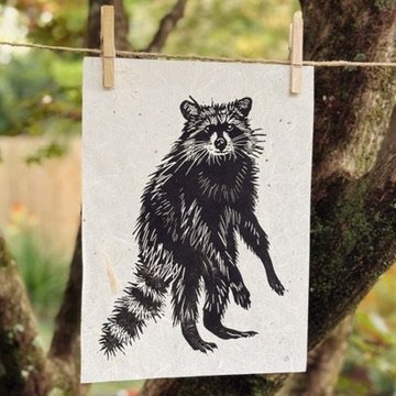 Rascally Raccoon Print