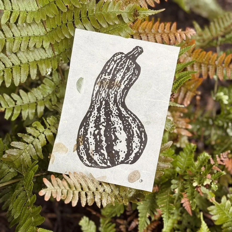 Zucchini Summer Squash