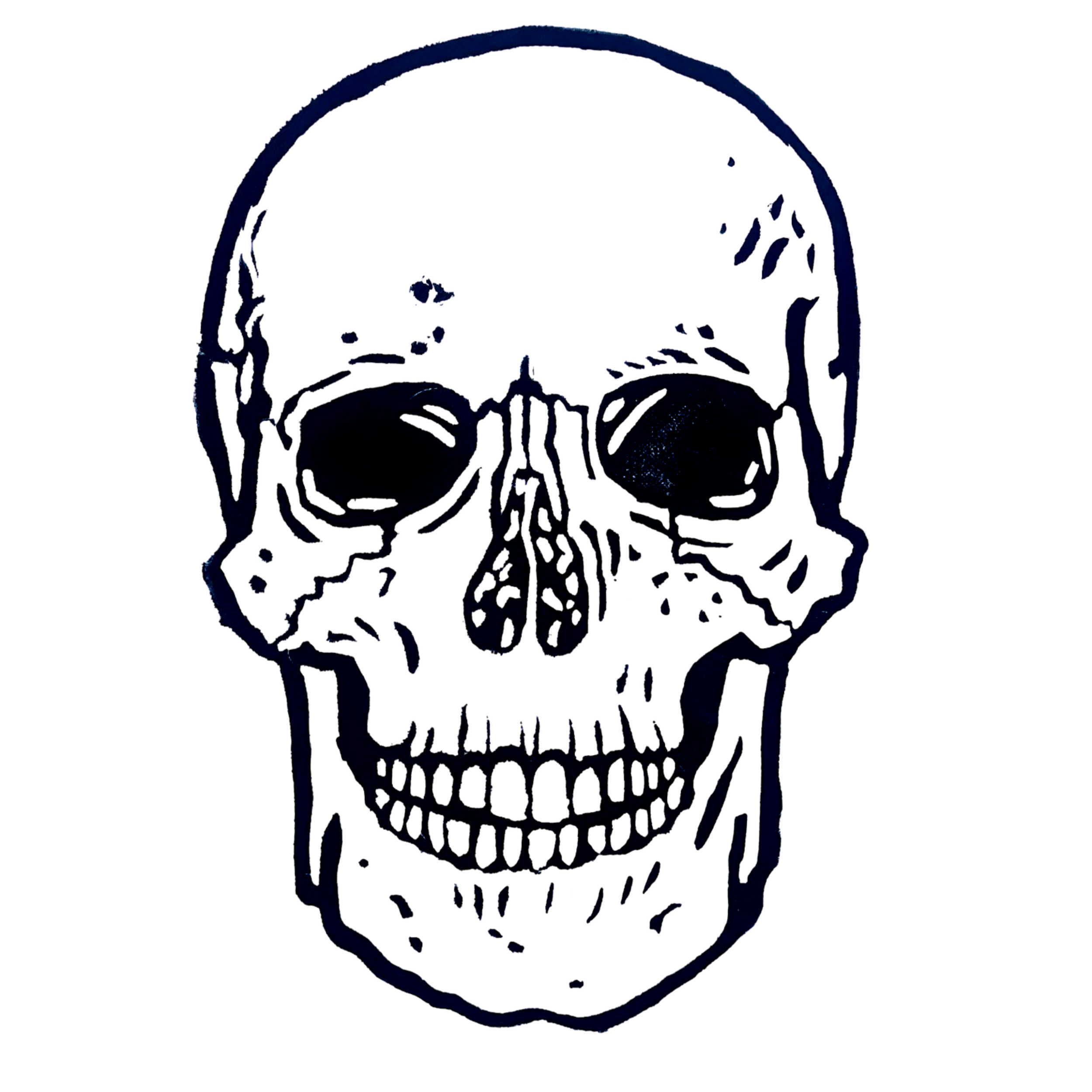 Human Skull