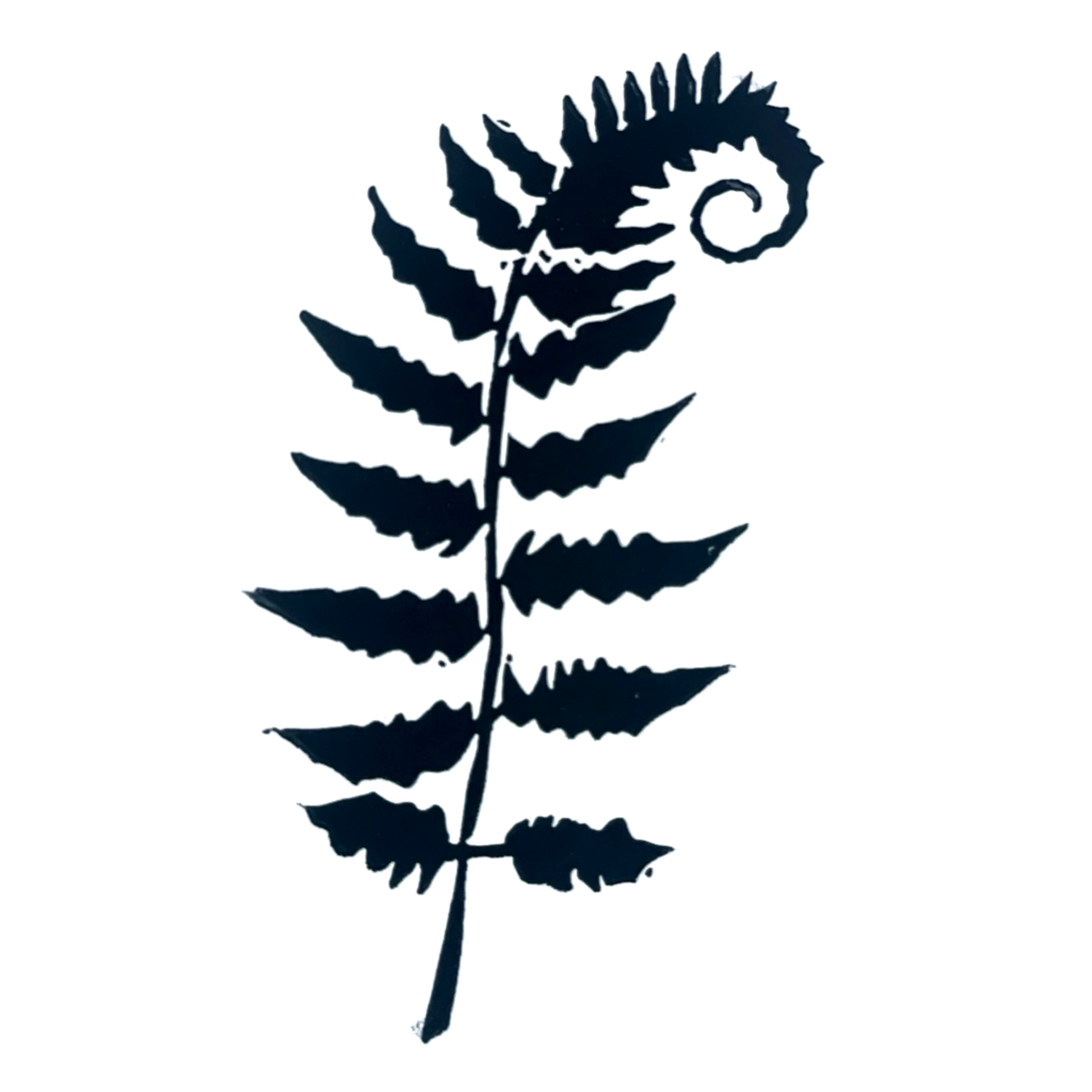 Ostrich Fern