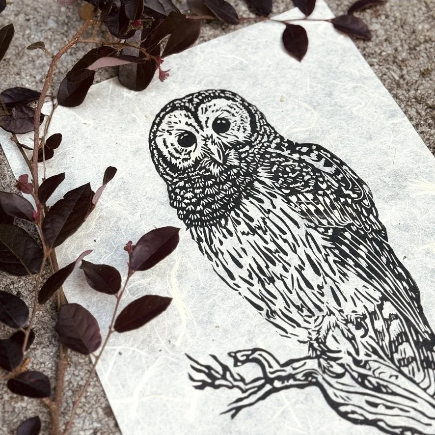 The Soulful Barred Owl Print