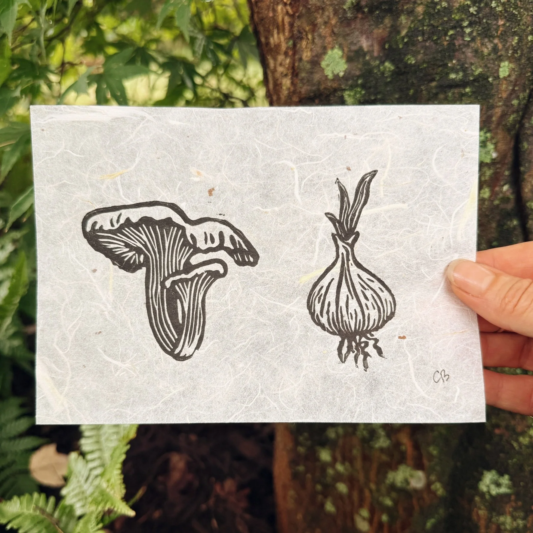Chanterelle & Garlic