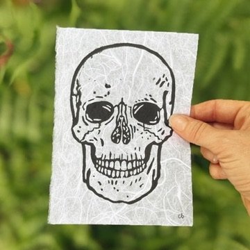 Human Skull