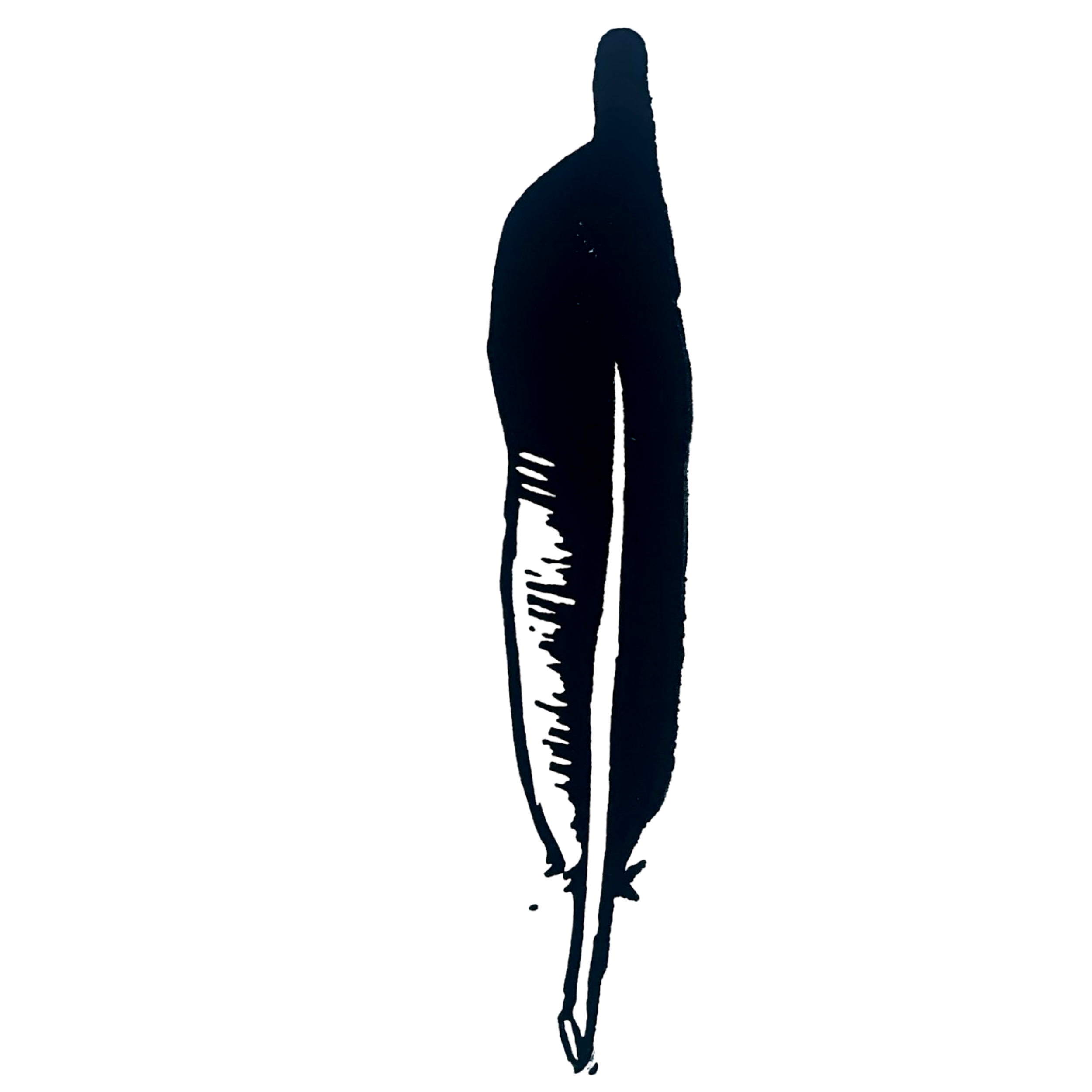 Golden Eagle Feather
