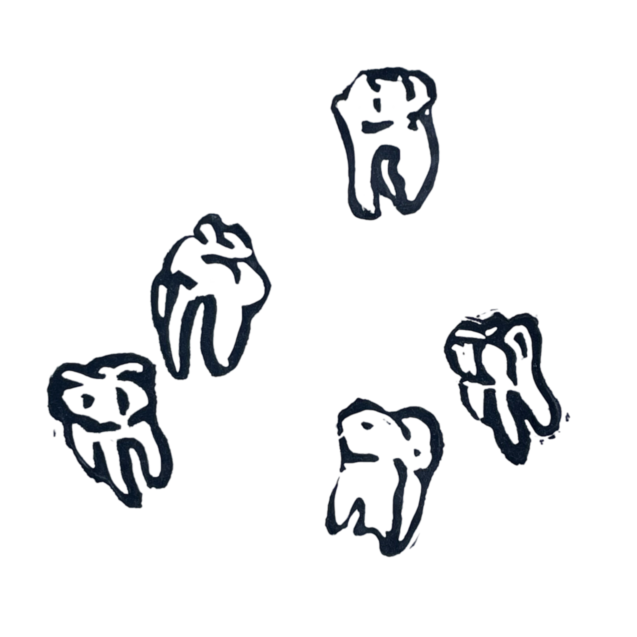 Human Molars