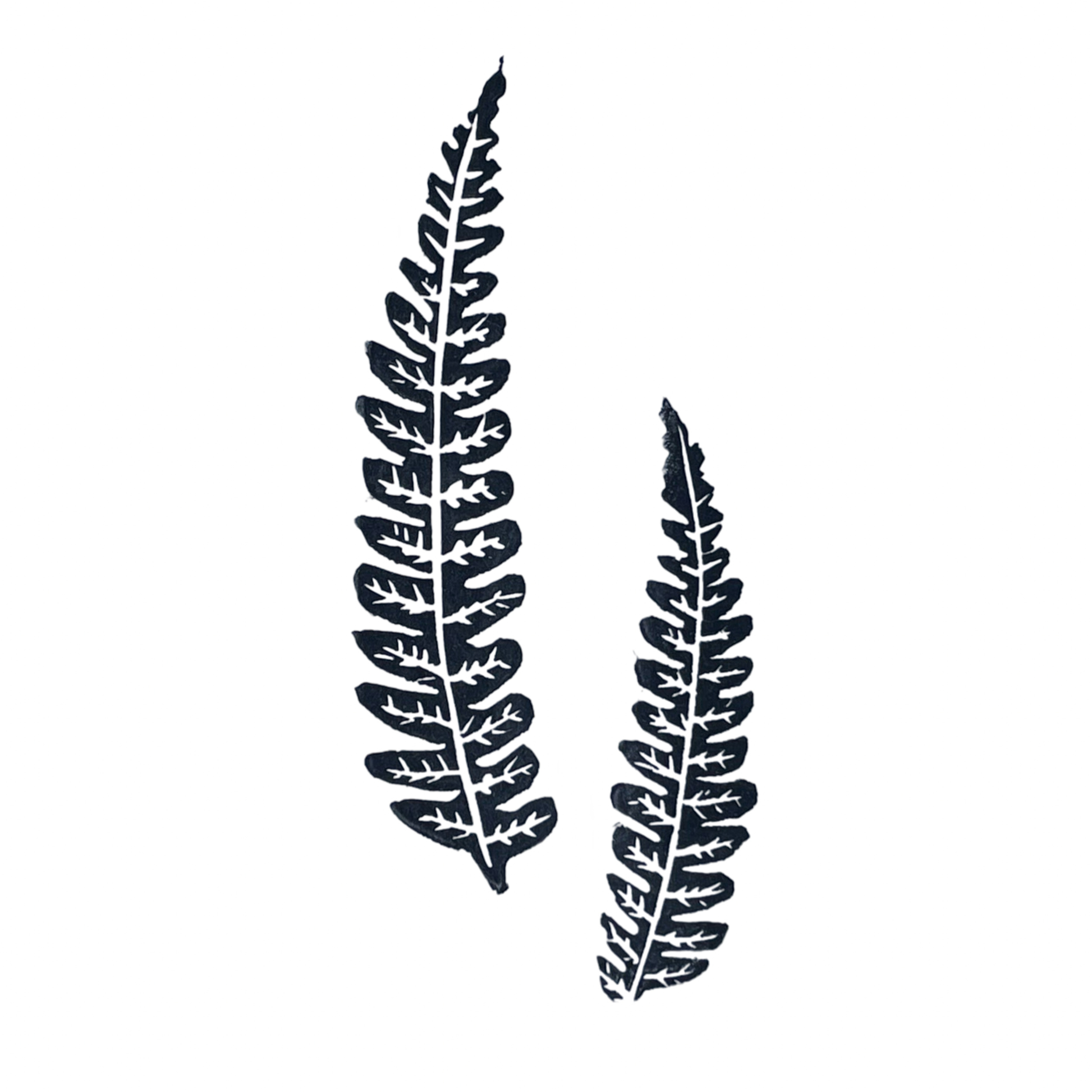 Wood Fern Leaves