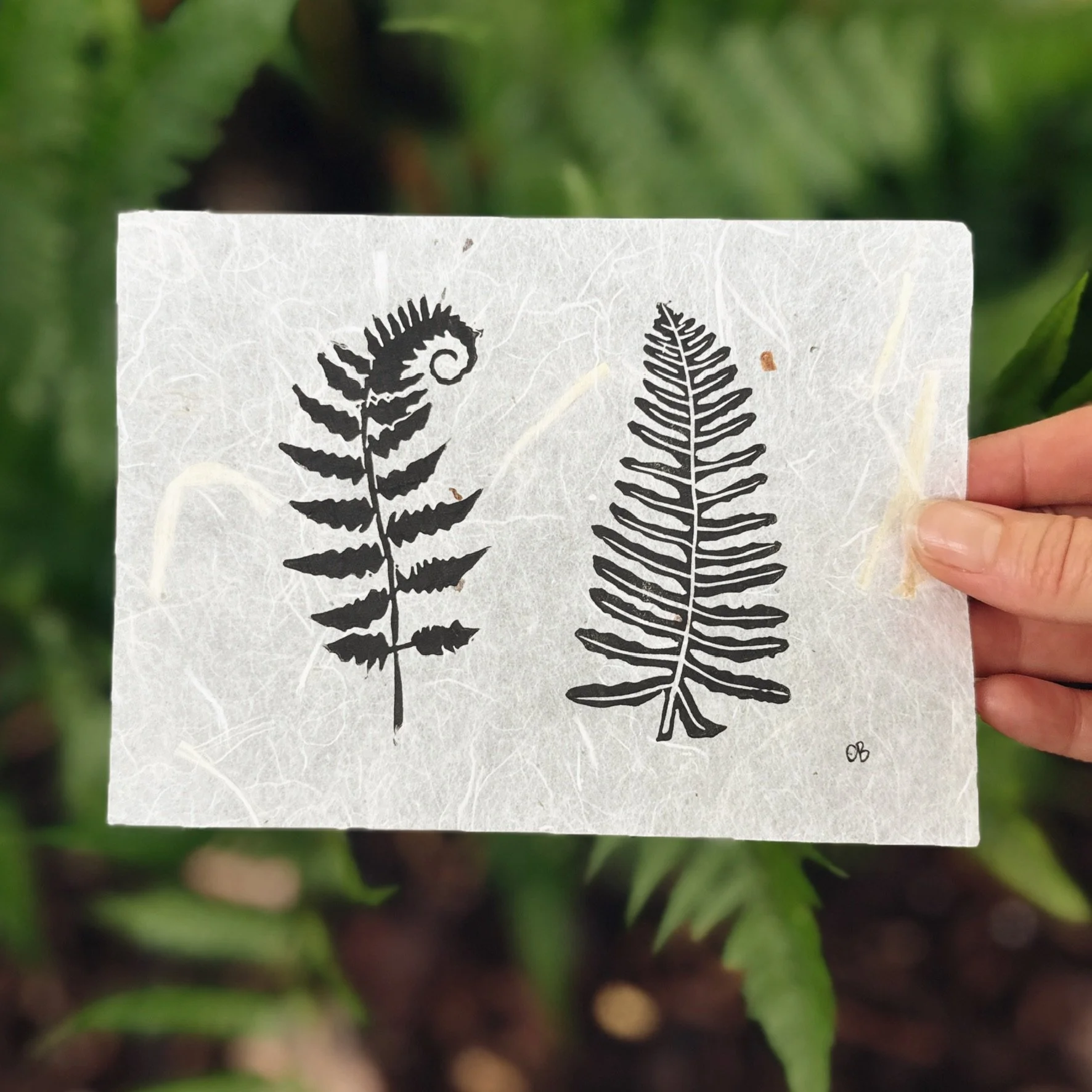 Fern Duo