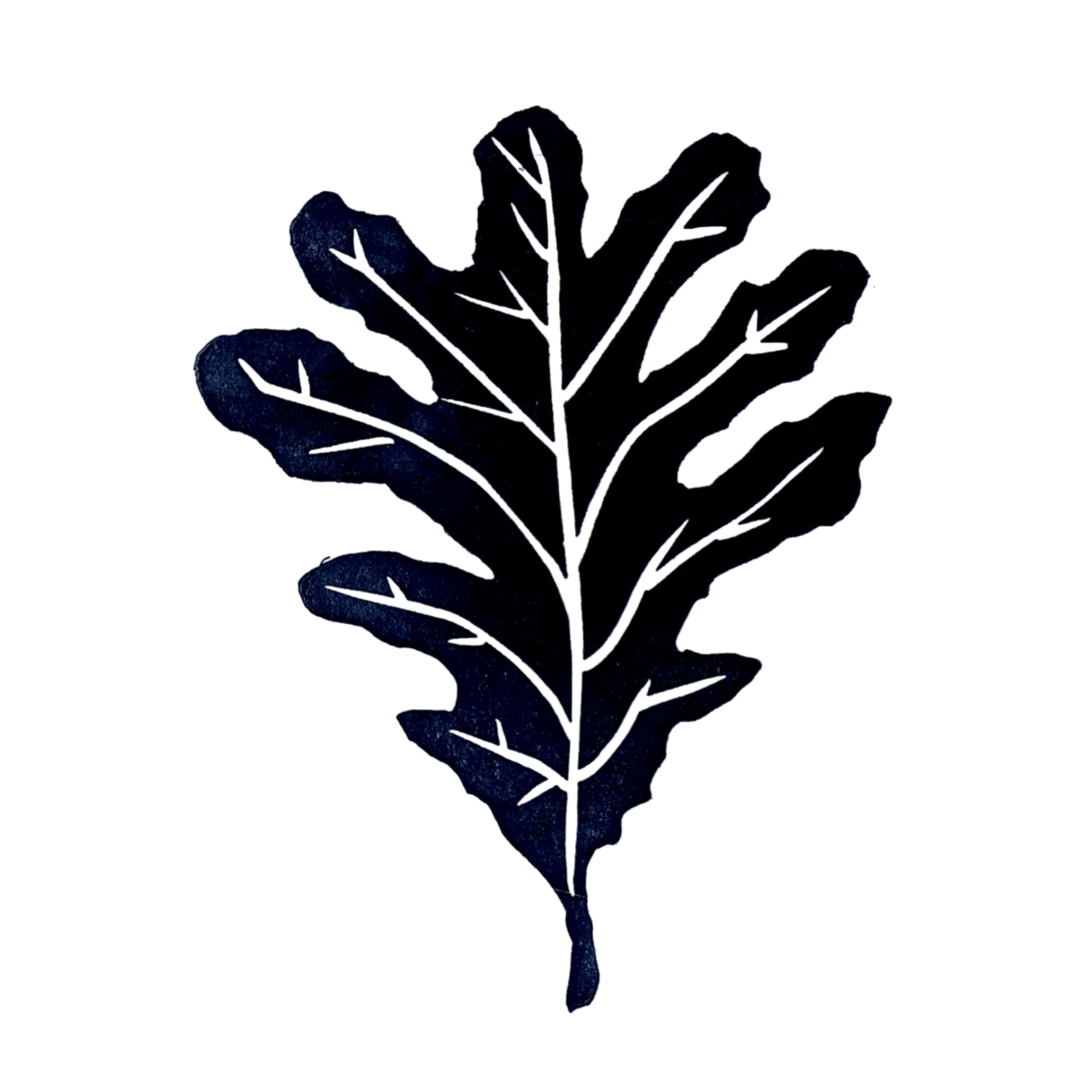 White Oak Leaf 1