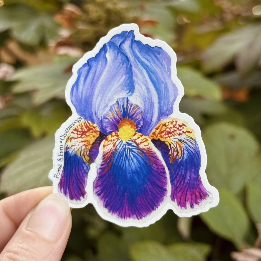 Bearded Iris Sticker