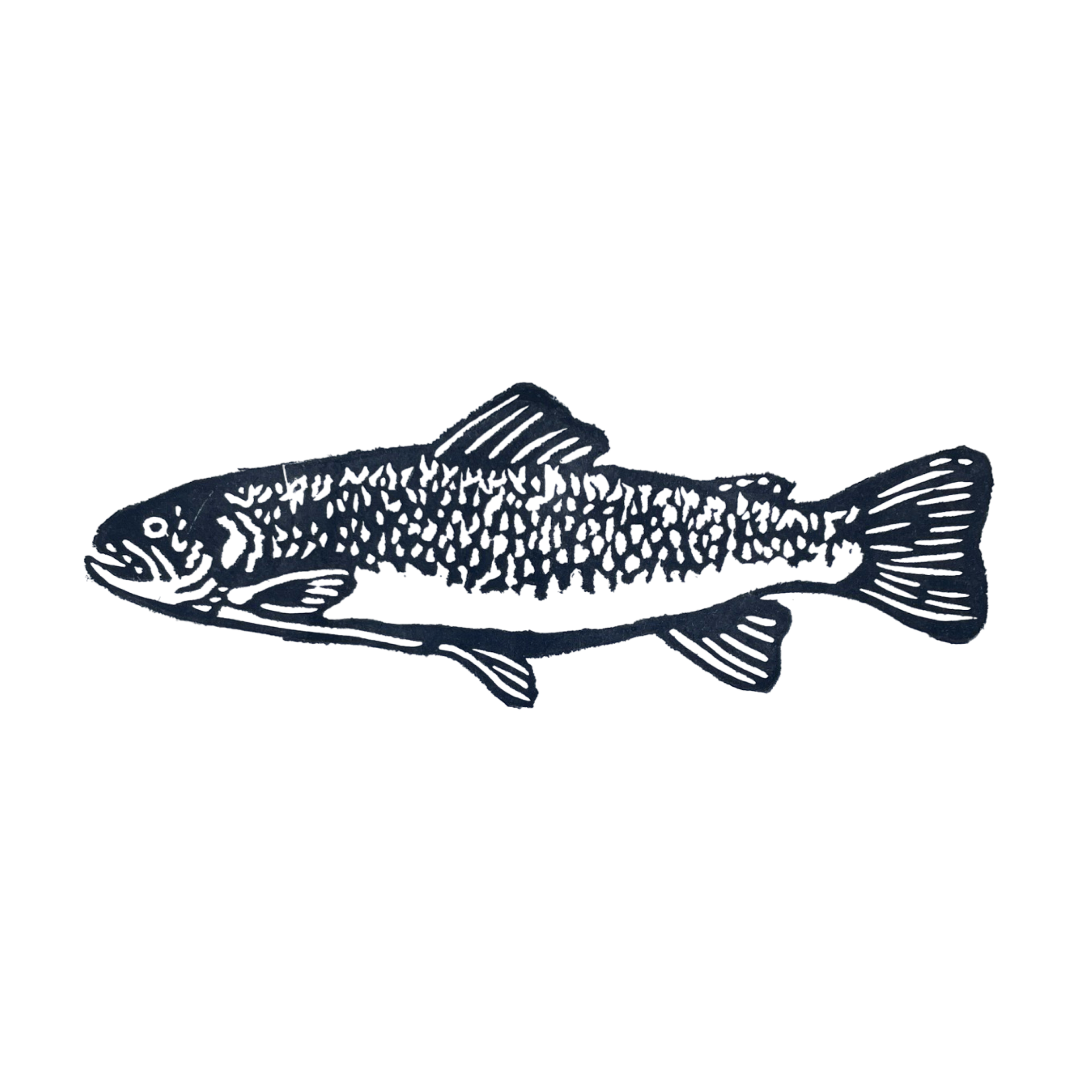 Brook Trout