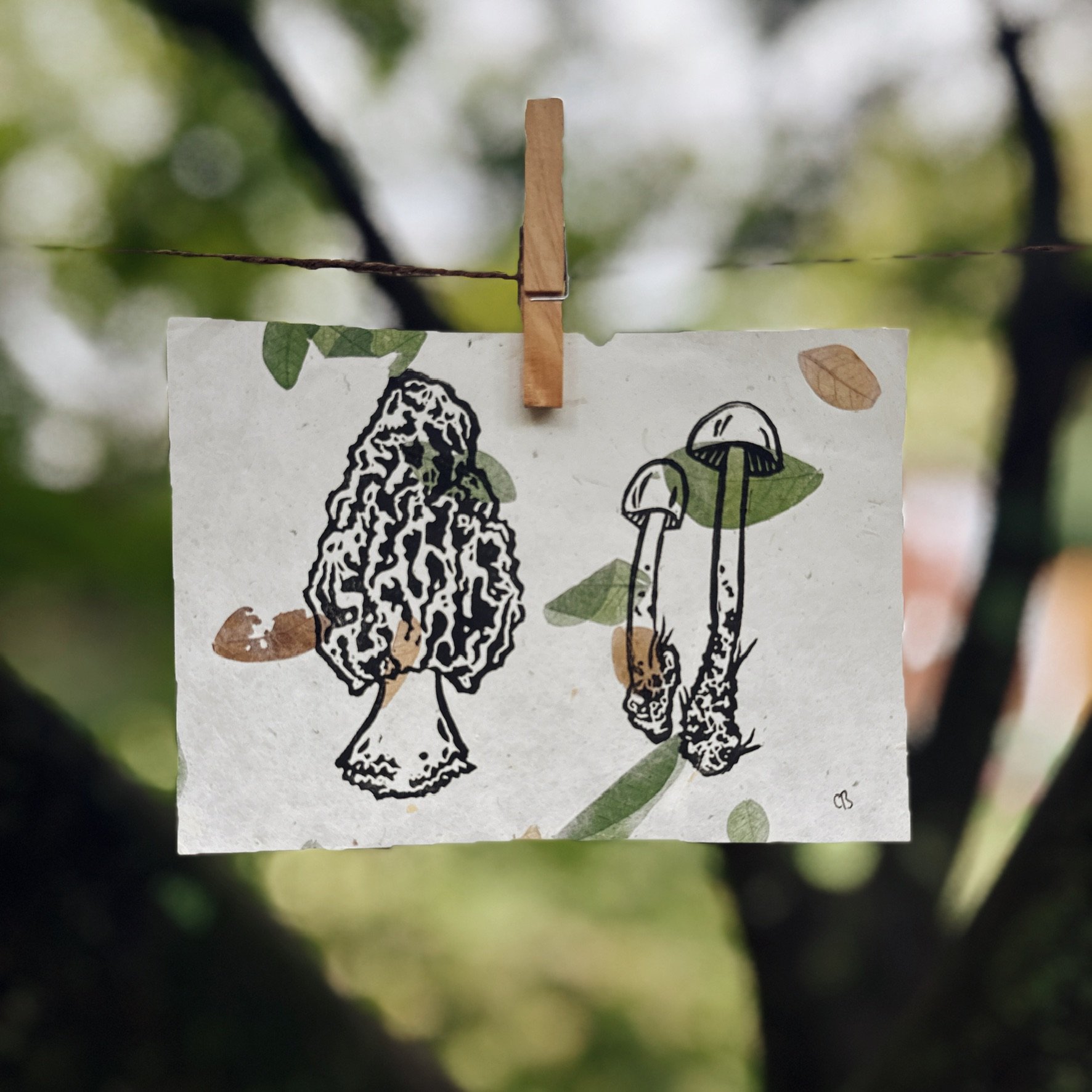 263805B4-DD6E-46E9-A68B-F5C2A69347D9_1_102_o.jpeg