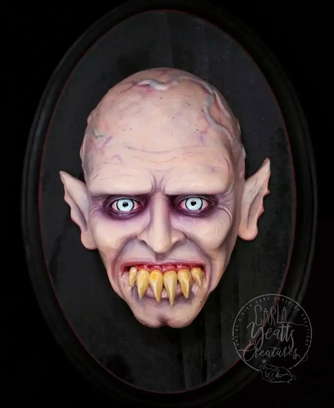 Petyr - What We do in the Shadows (2014 film)