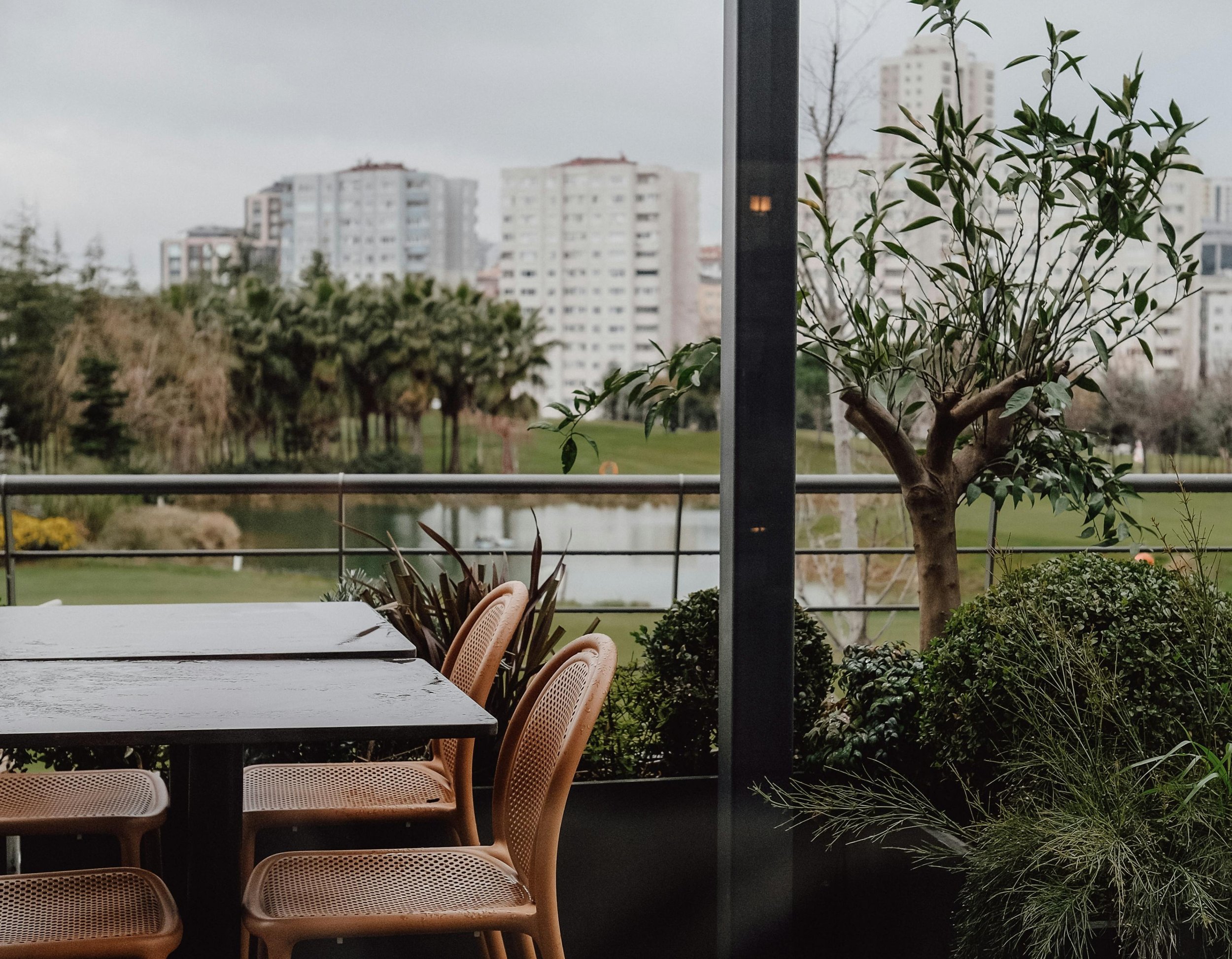 Outdoor patio with a white table and tan chairs, surrounded by greenery and overlooking a park with trees and high-rise buildings in the distance under an overcast sky.