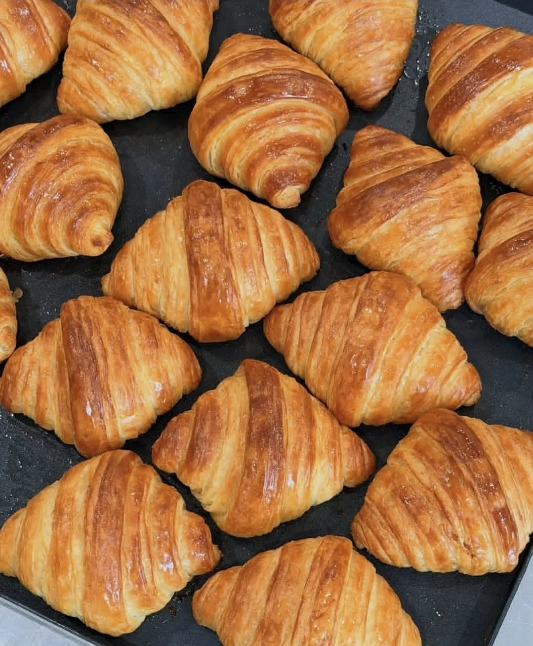 Beginner's Croissant Class - Sept 19th
