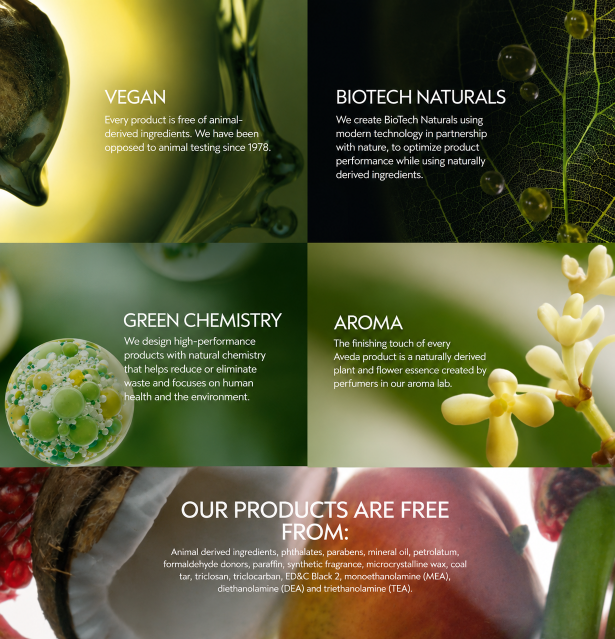 A divided infographic displaying information about a company's natural and chemical-free products. The sections include topics like vegan ingredients, biotech naturals using modern technology, green chemistry with natural chemistry for health and environment, aroma with plant and flower essence, and a list of ingredients free from animal-derived components and harmful chemicals.