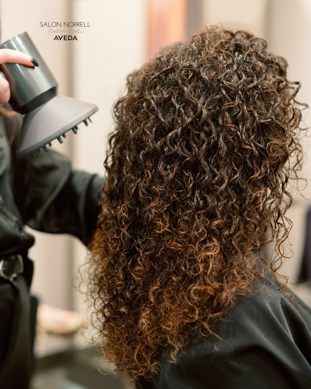 Curly hair styling and Aveda treatment at Salon Norrell Aveda Tampa