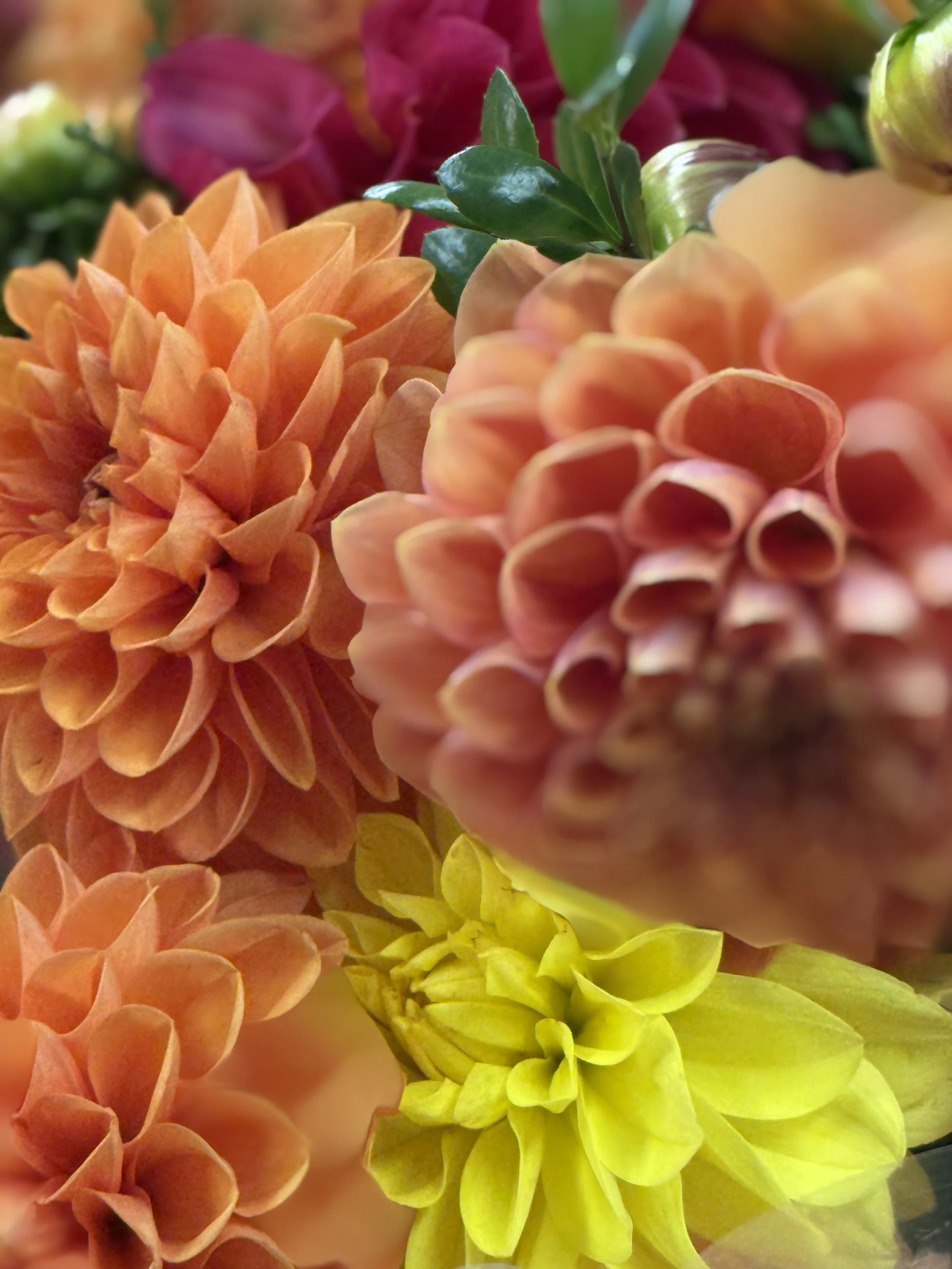Wedding Packages