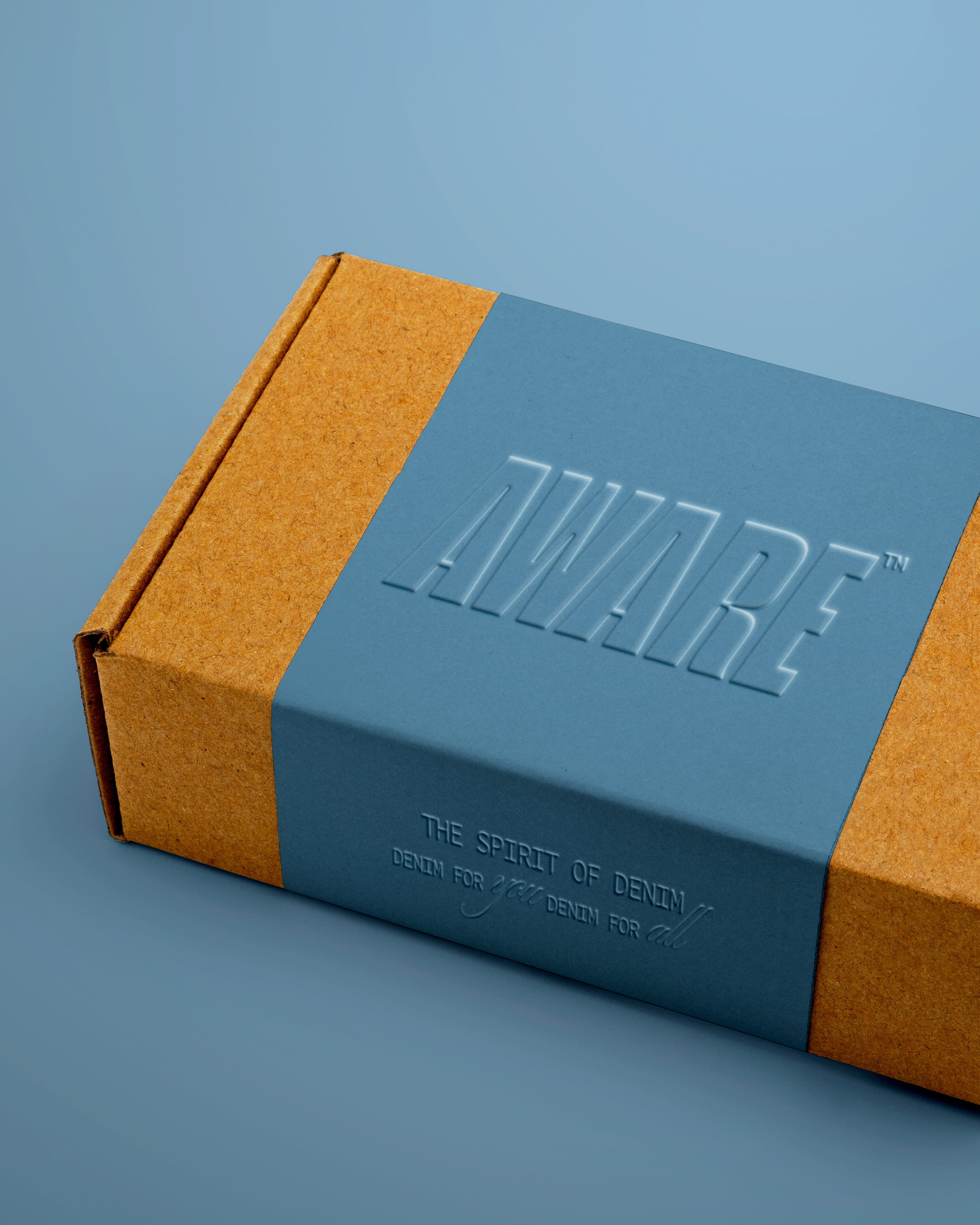 Close-up of a blue book cover with embossed text reading 'ALIVE', against a light blue background, partially covered by a brown cardboard box.